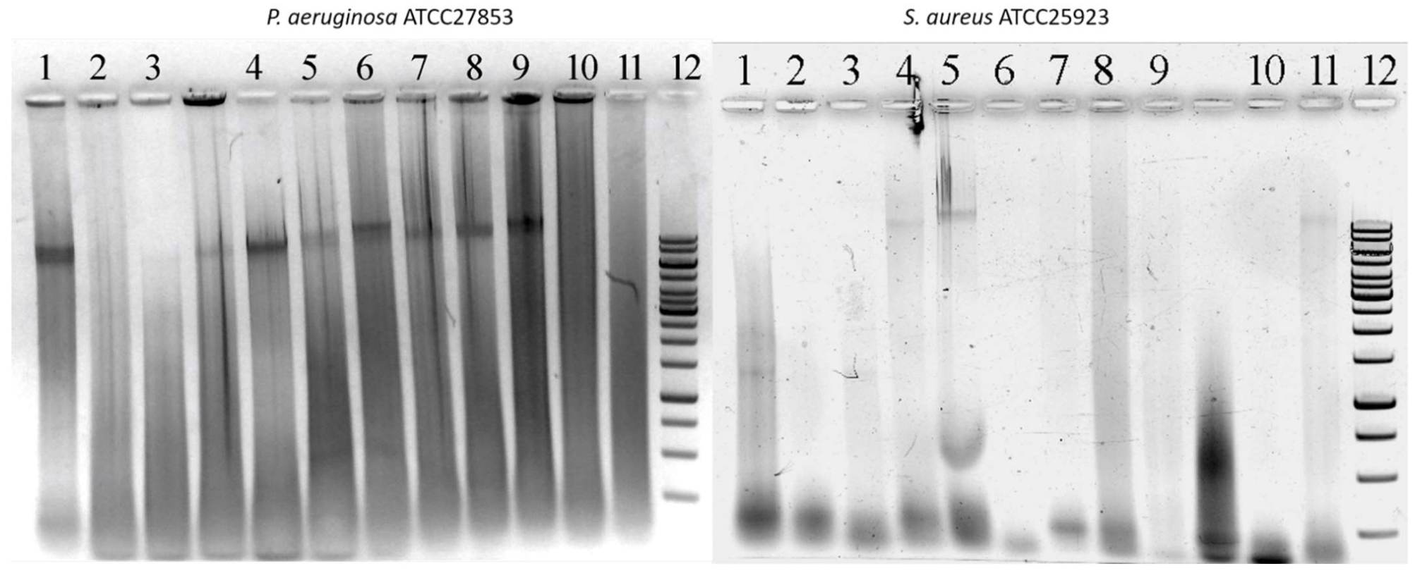 Ijms 23 00731 g002 Ijms 23 00731 g002