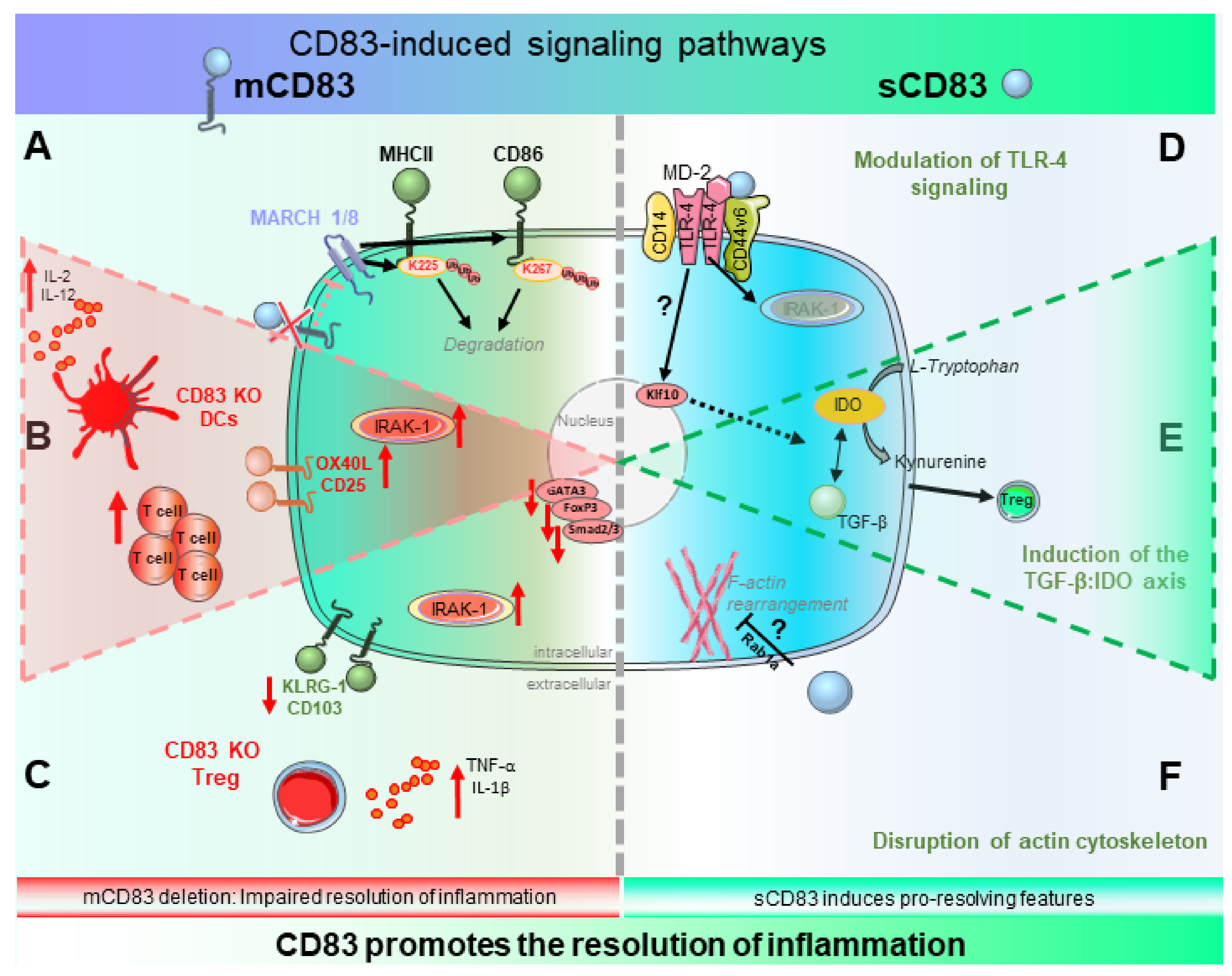 Ijms 23 00732 g001 550