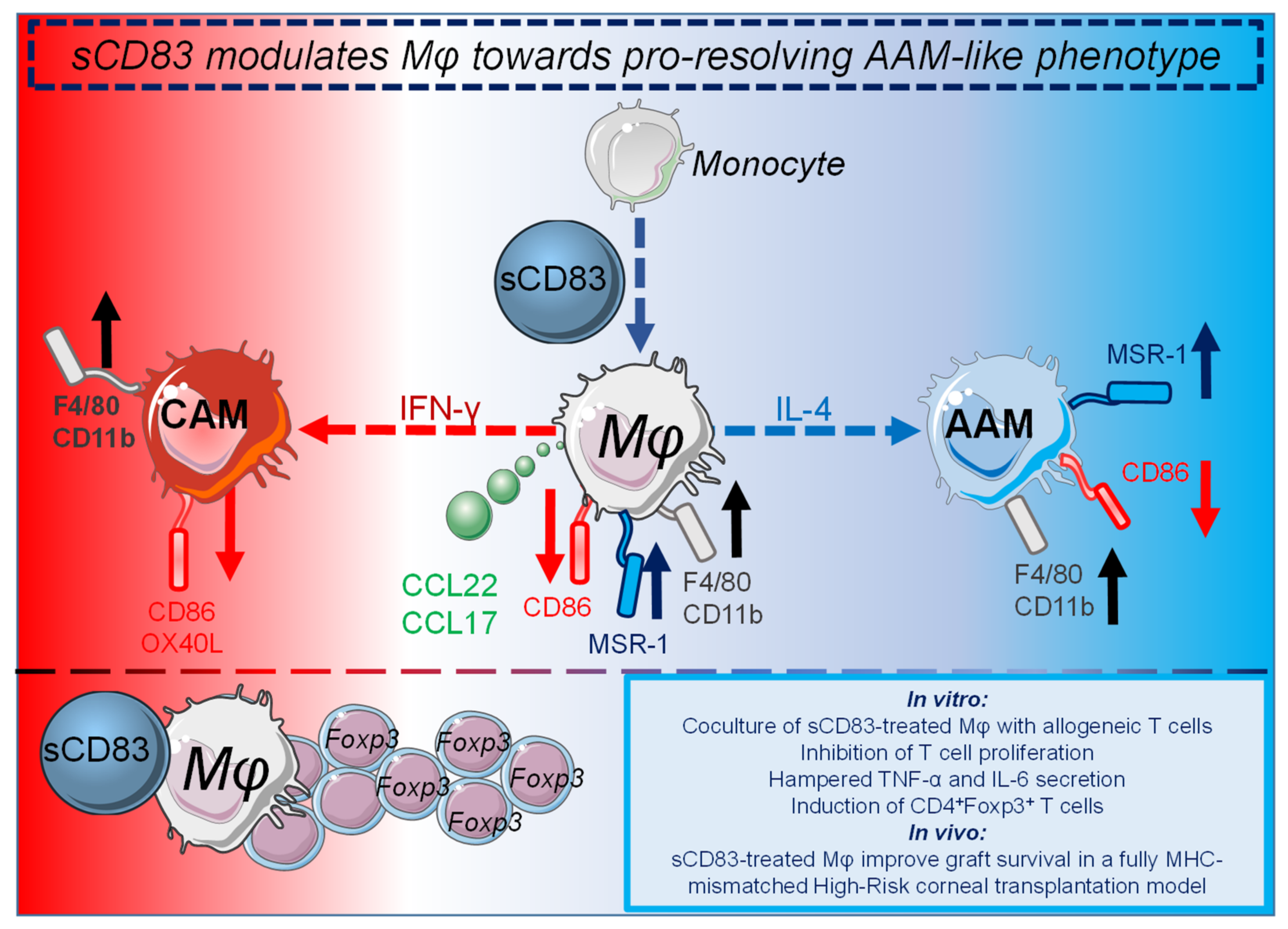 Ijms 23 00732 g002 550