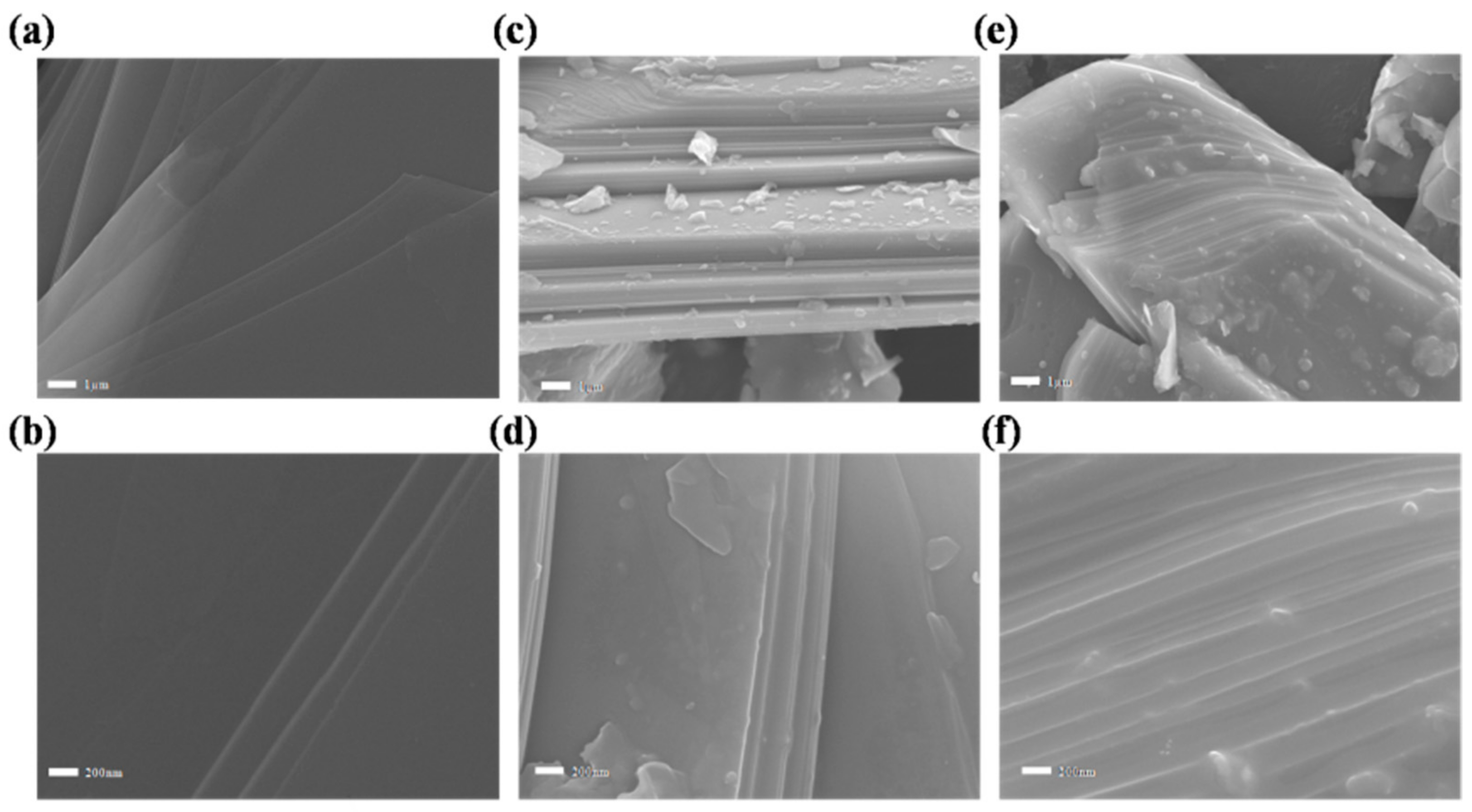 Ijms 23 00733 g001 550