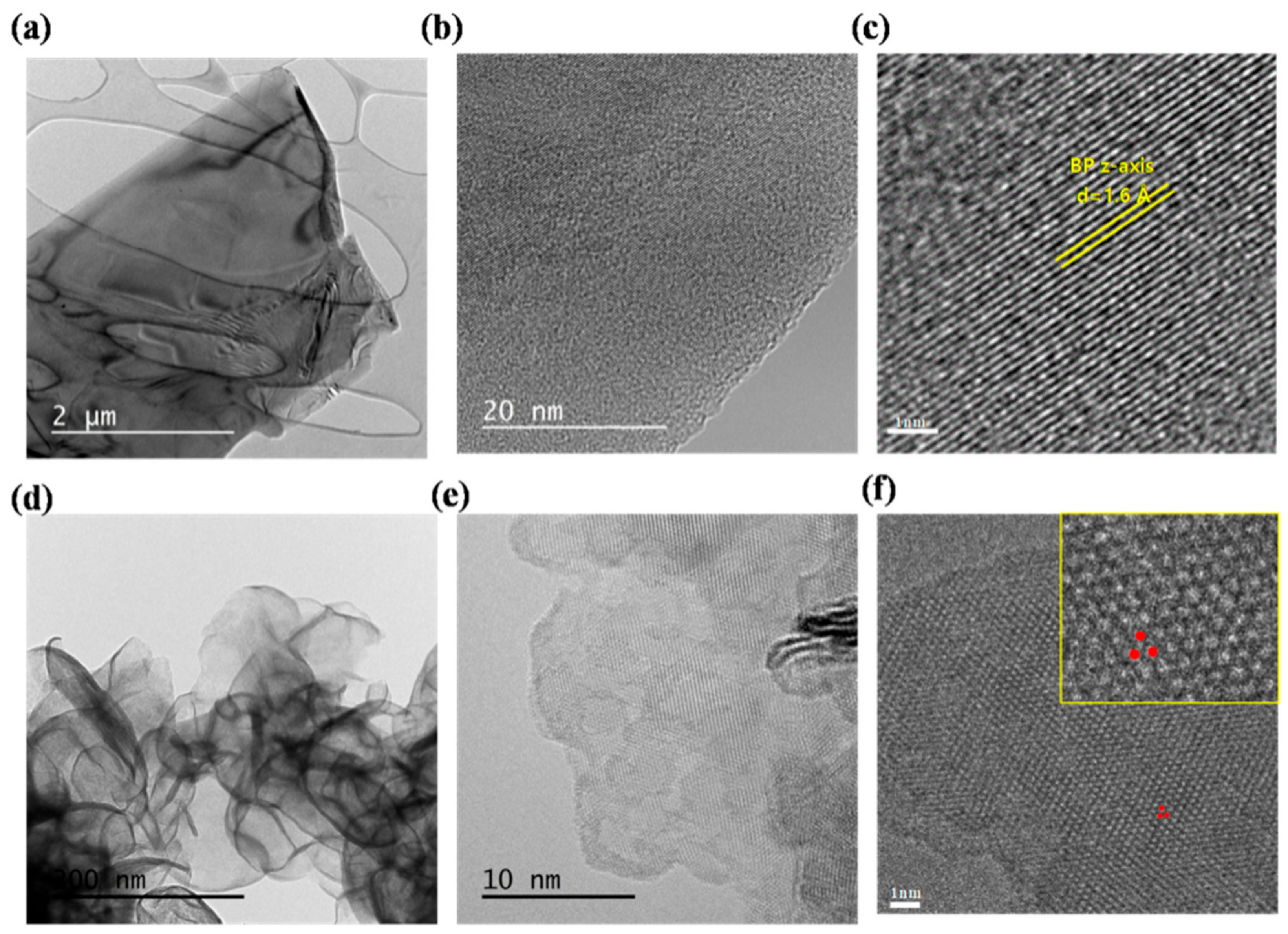 Ijms 23 00733 g002 550