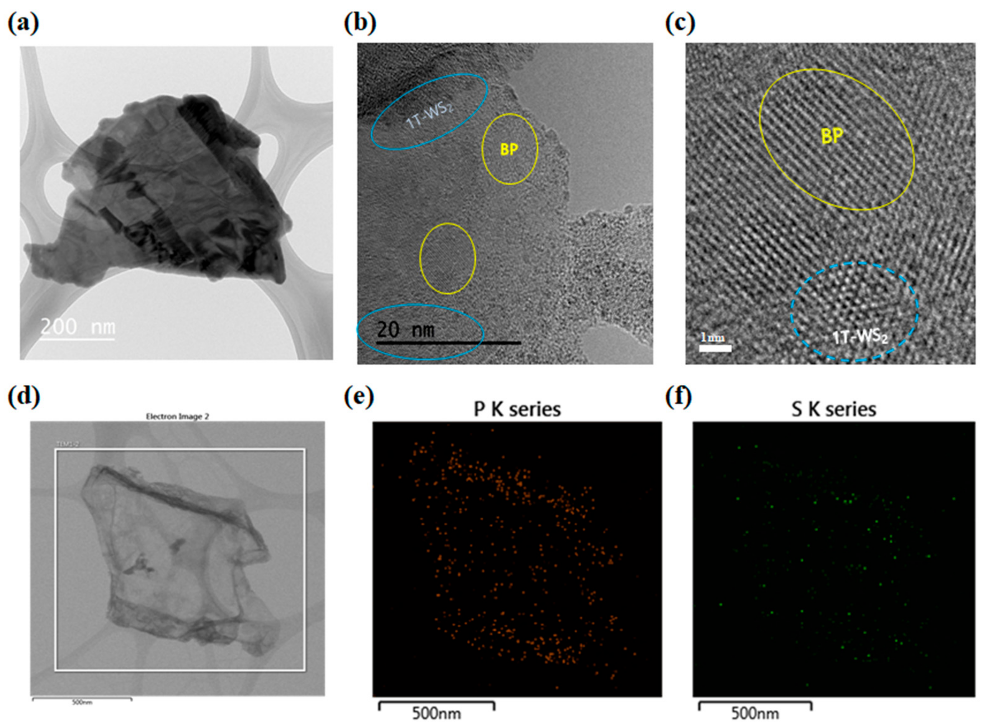 Ijms 23 00733 g003 550