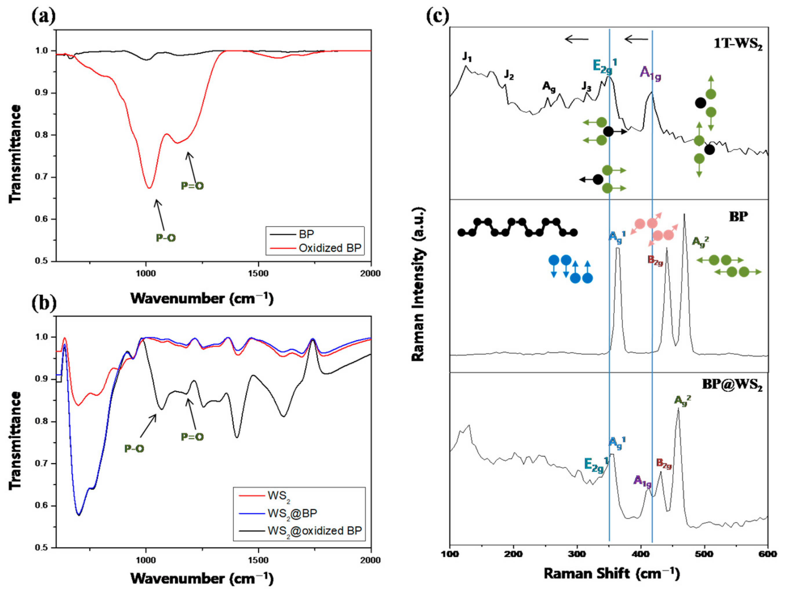 Ijms 23 00733 g004 550