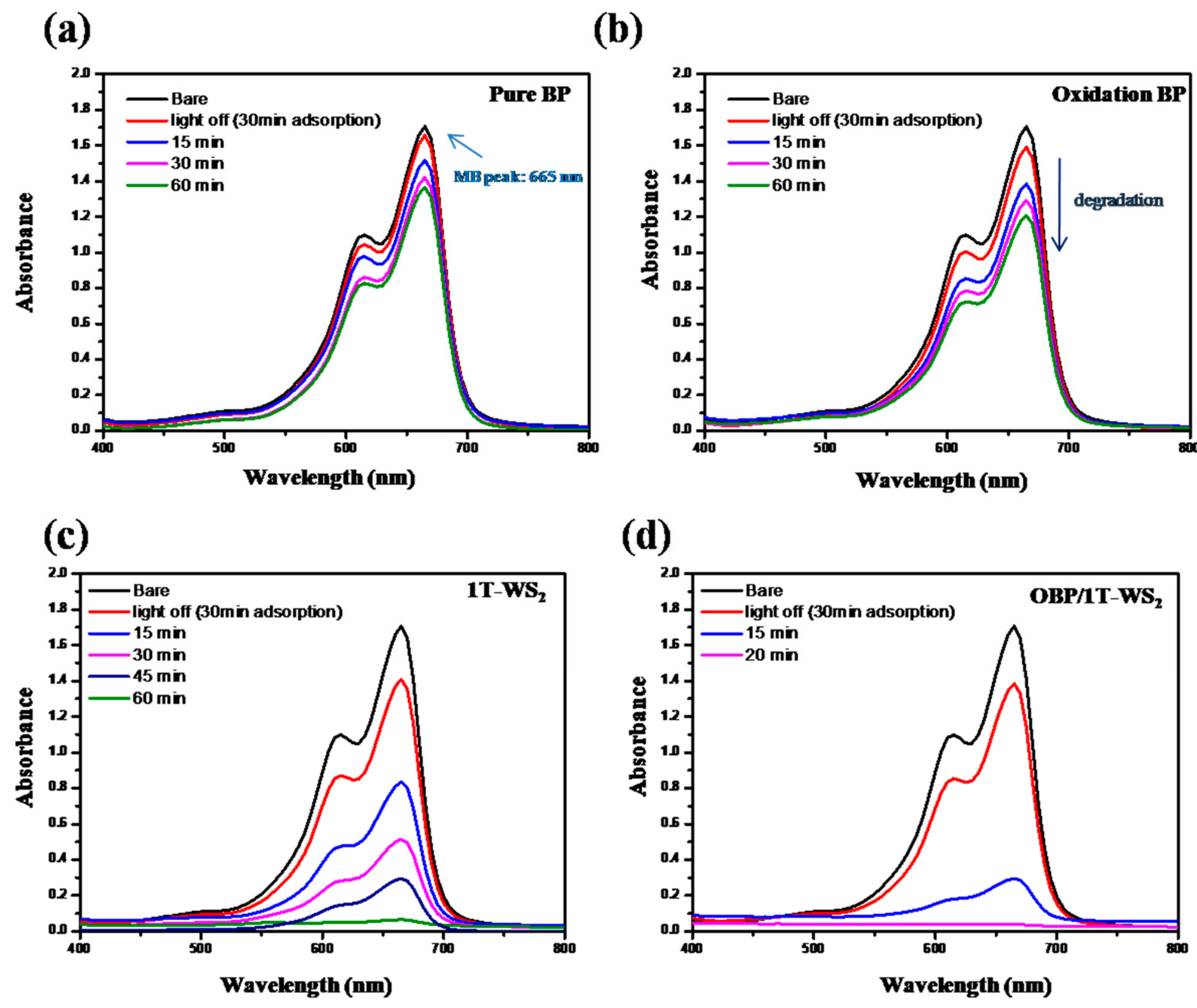 Ijms 23 00733 g006 550