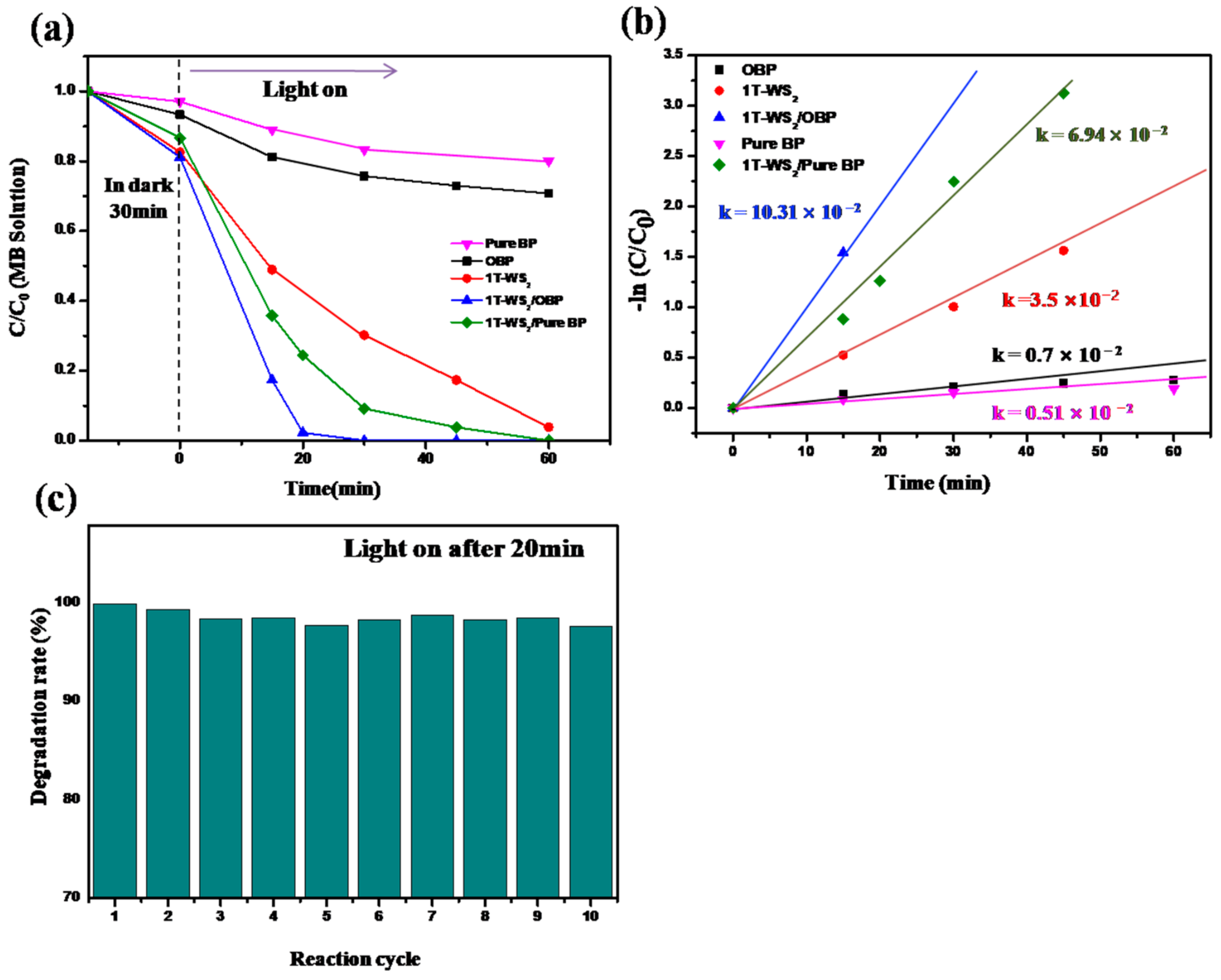 Ijms 23 00733 g007 550