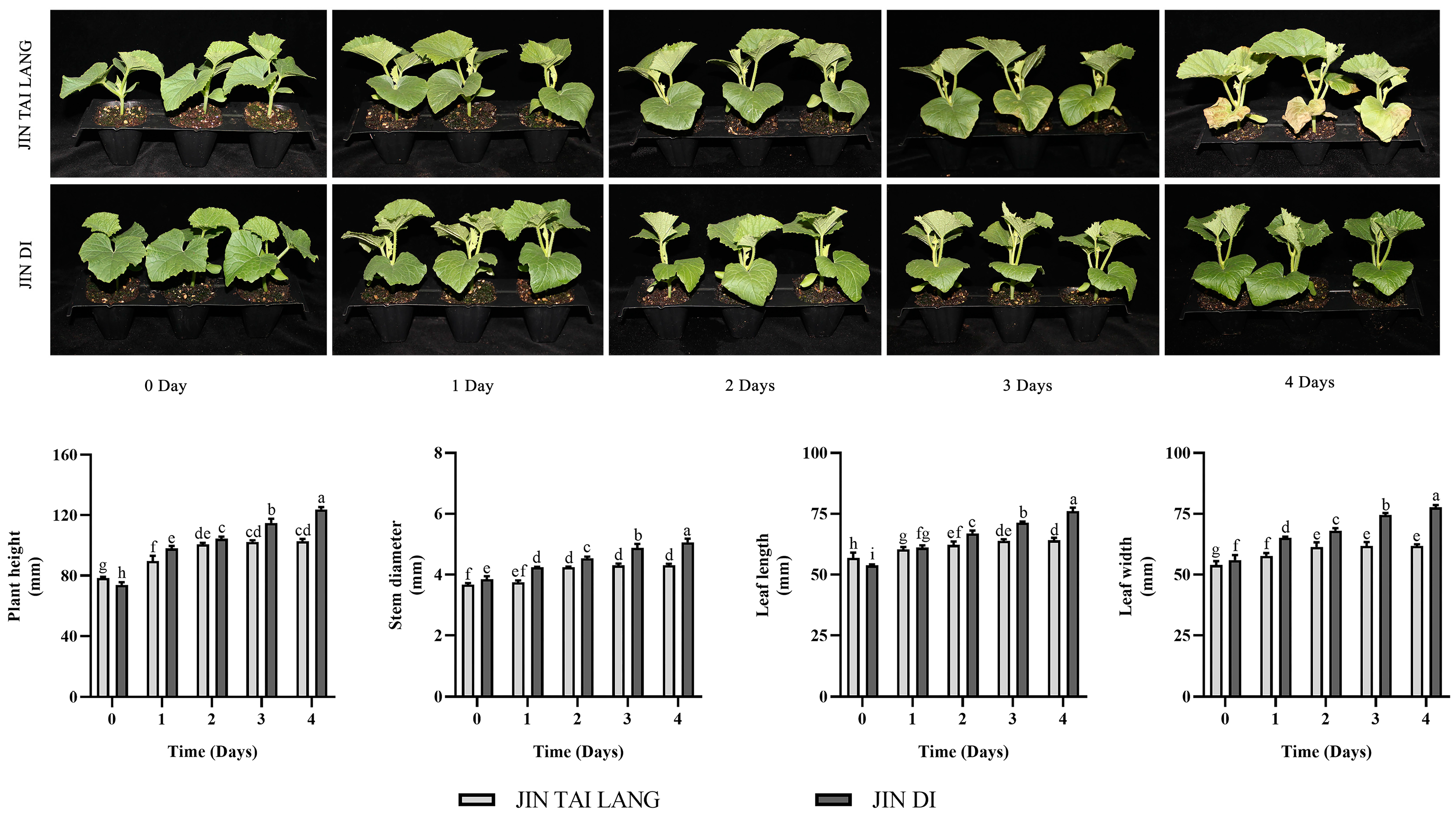 Ijms 23 00734 g001 550