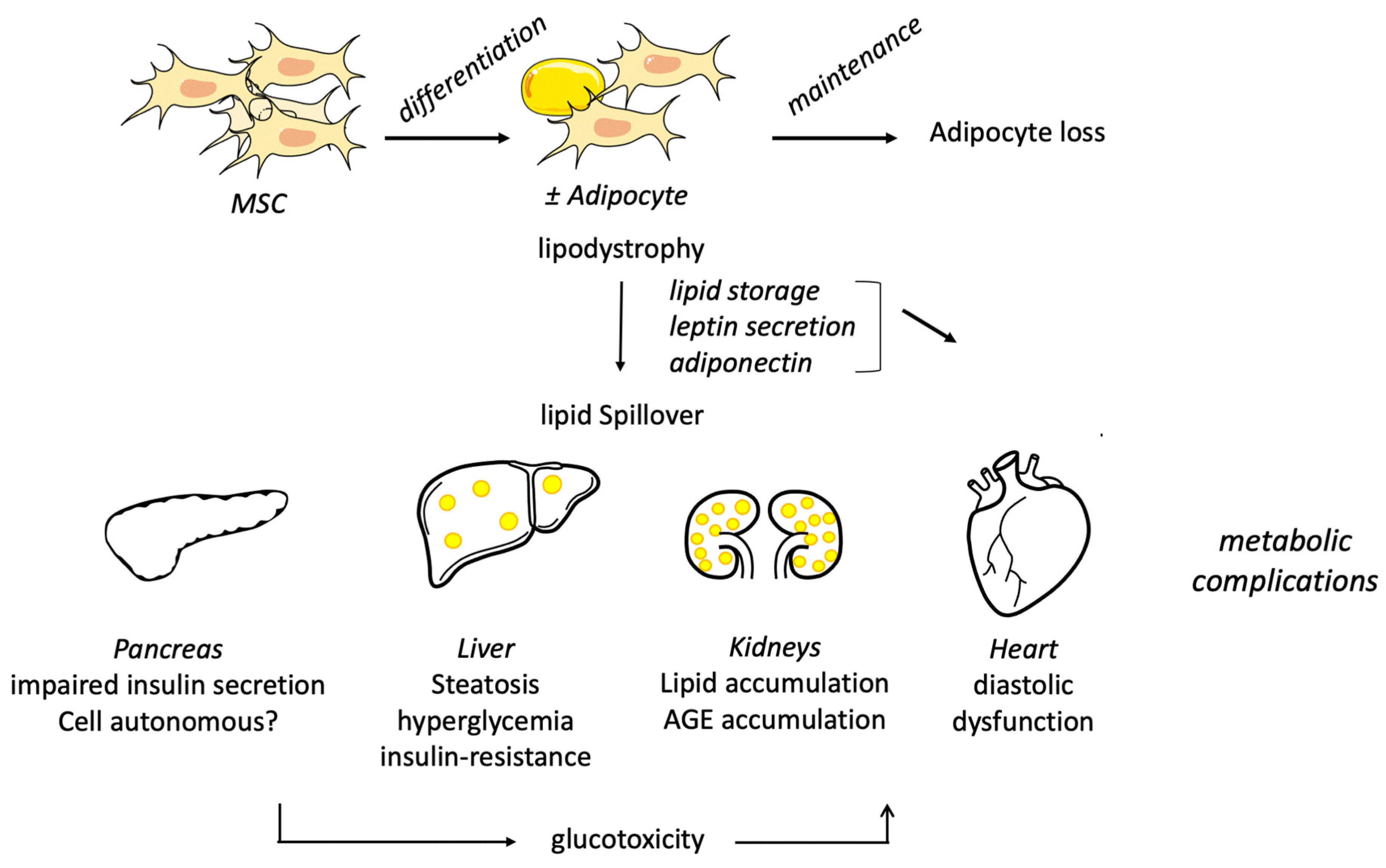 Ijms 23 00740 g002 Ijms 23 00740 g002