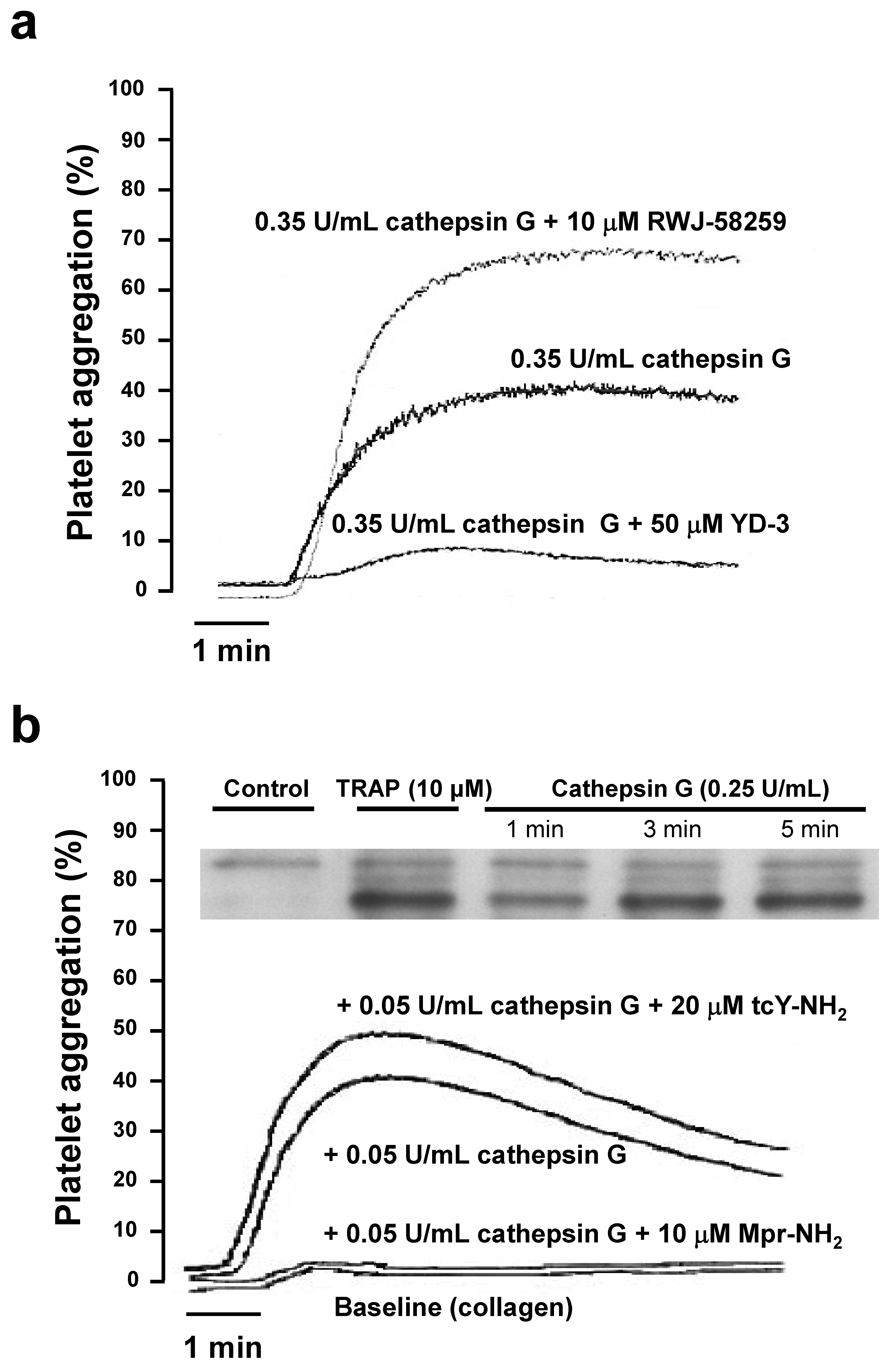 Ijms 23 00744 g002 550