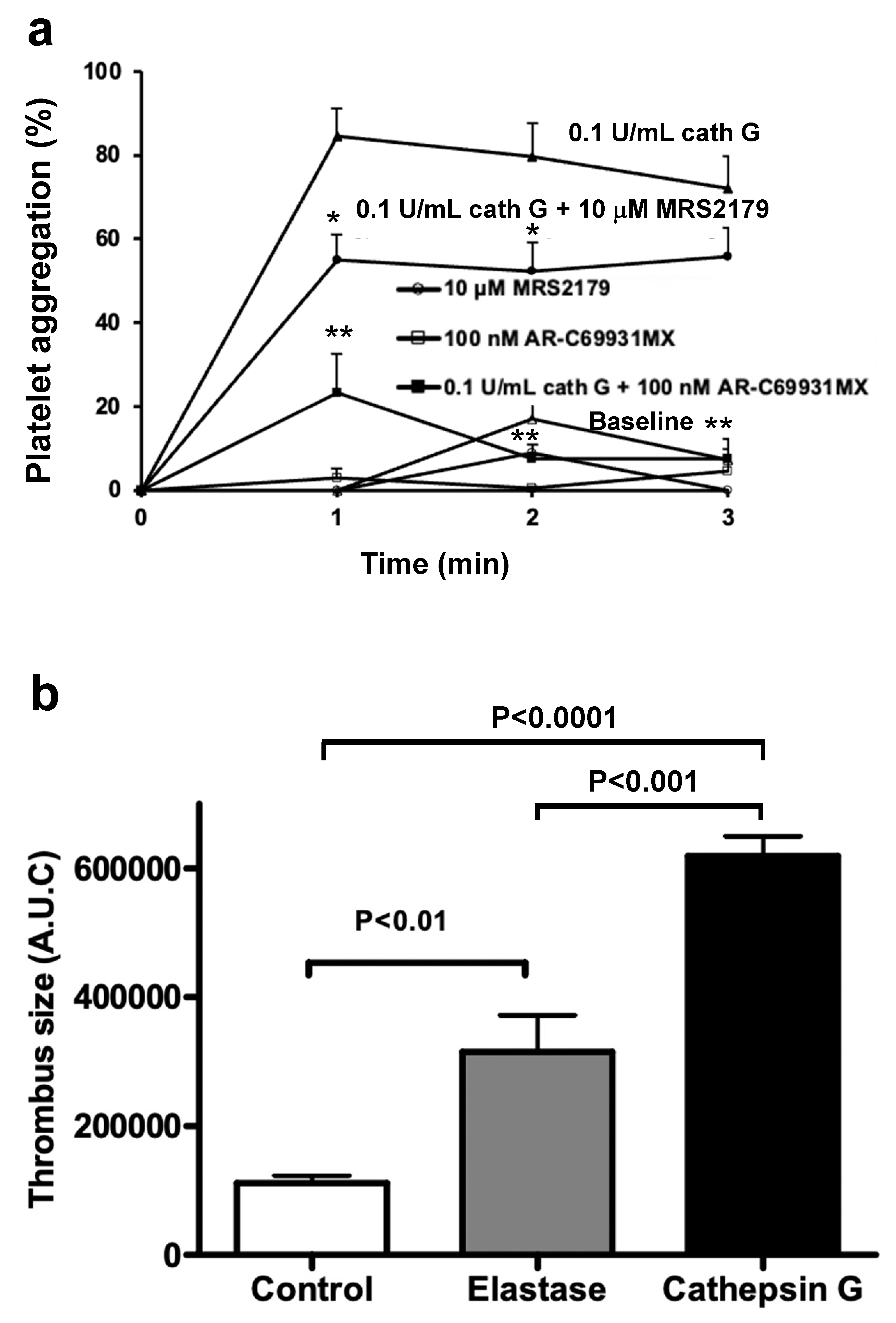 Ijms 23 00744 g006 550