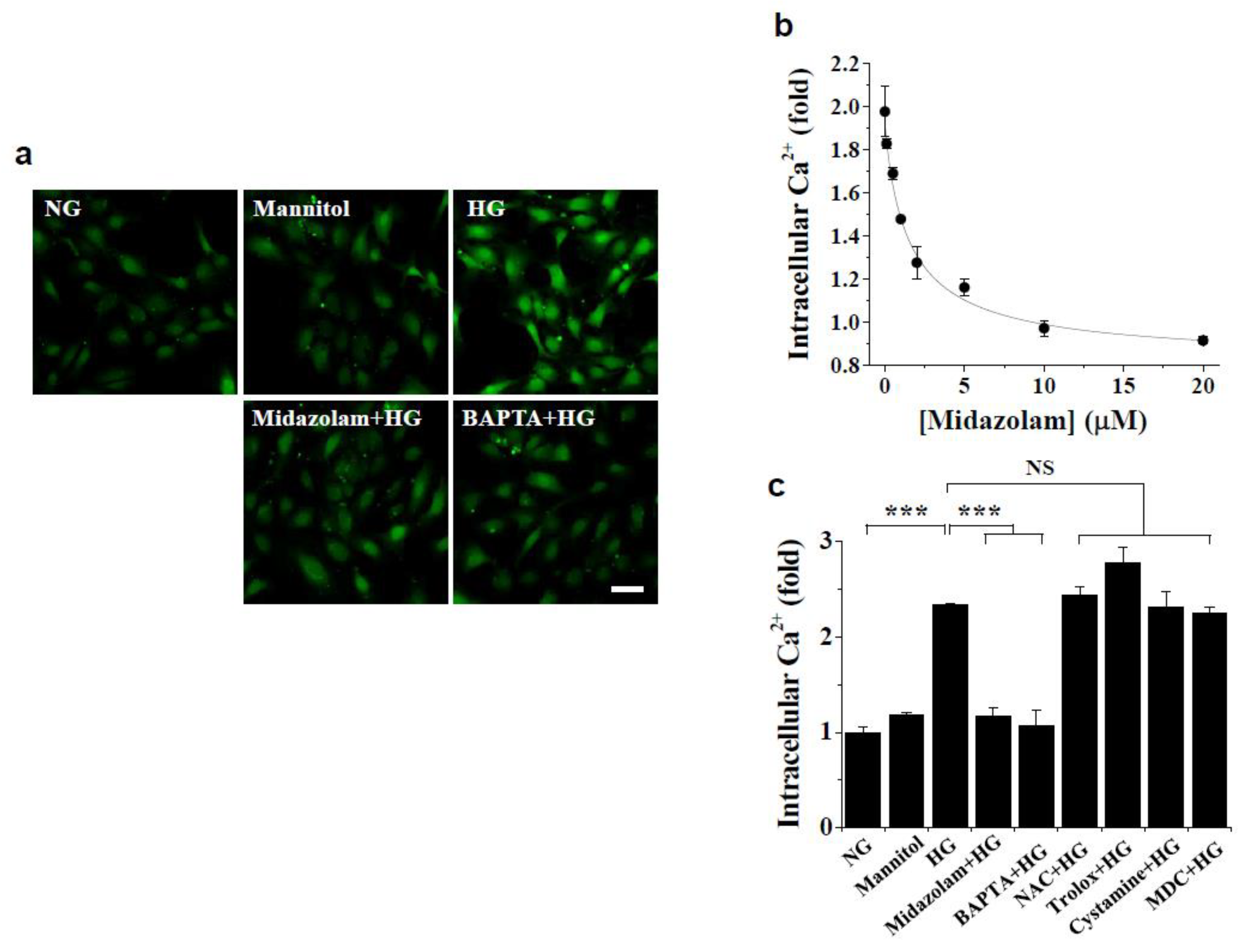 Ijms 23 00753 g003 550