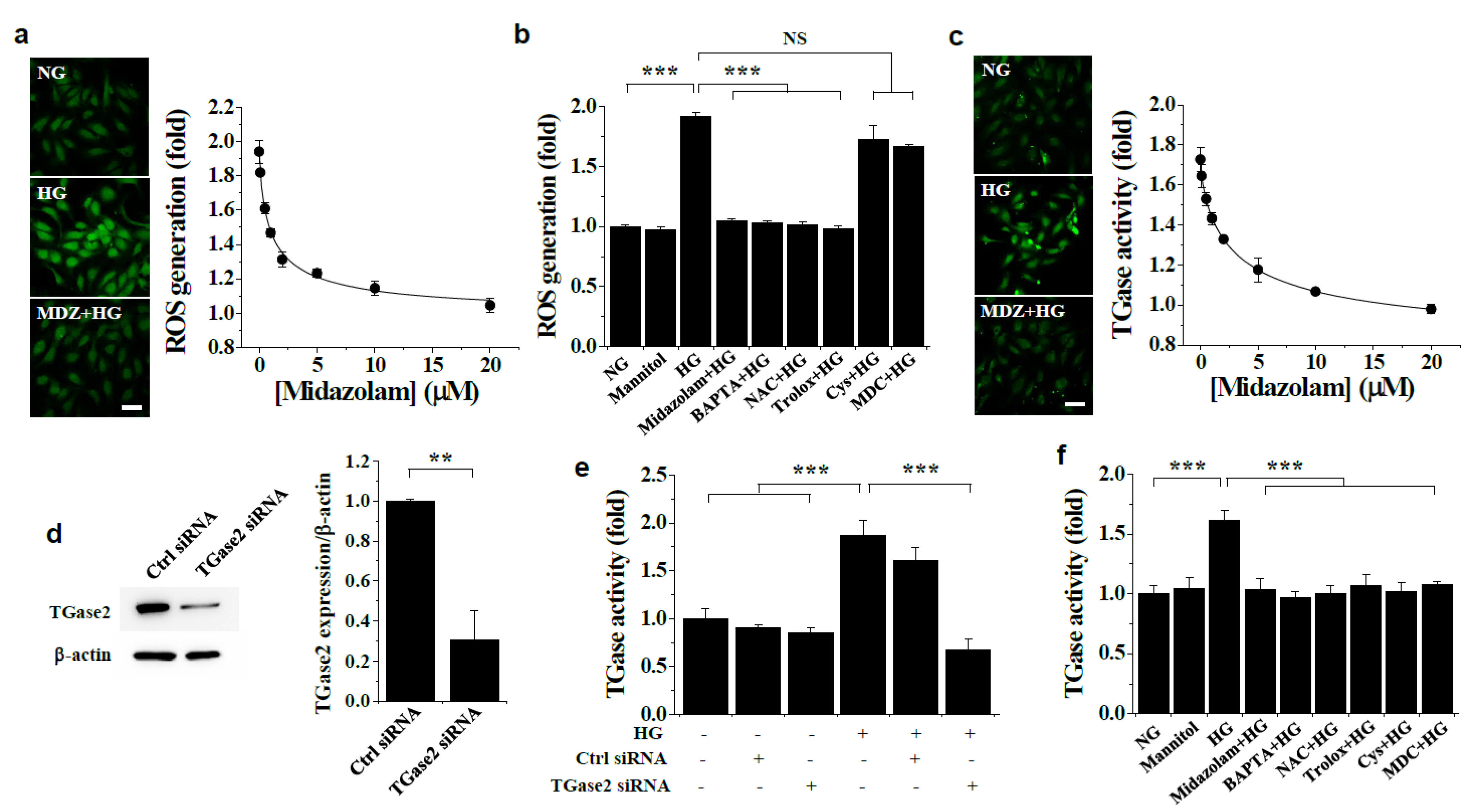Ijms 23 00753 g004 550
