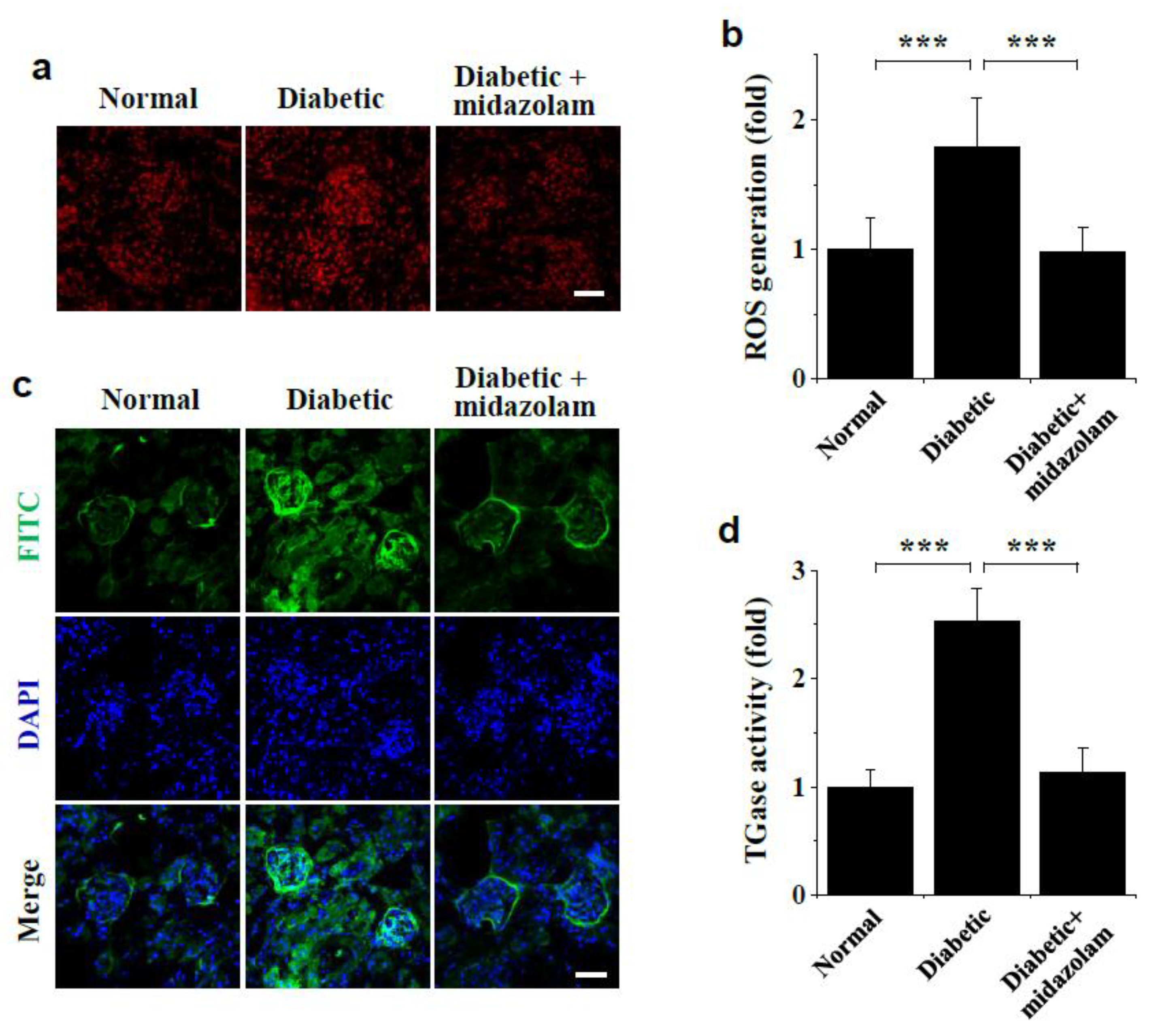Ijms 23 00753 g006 550