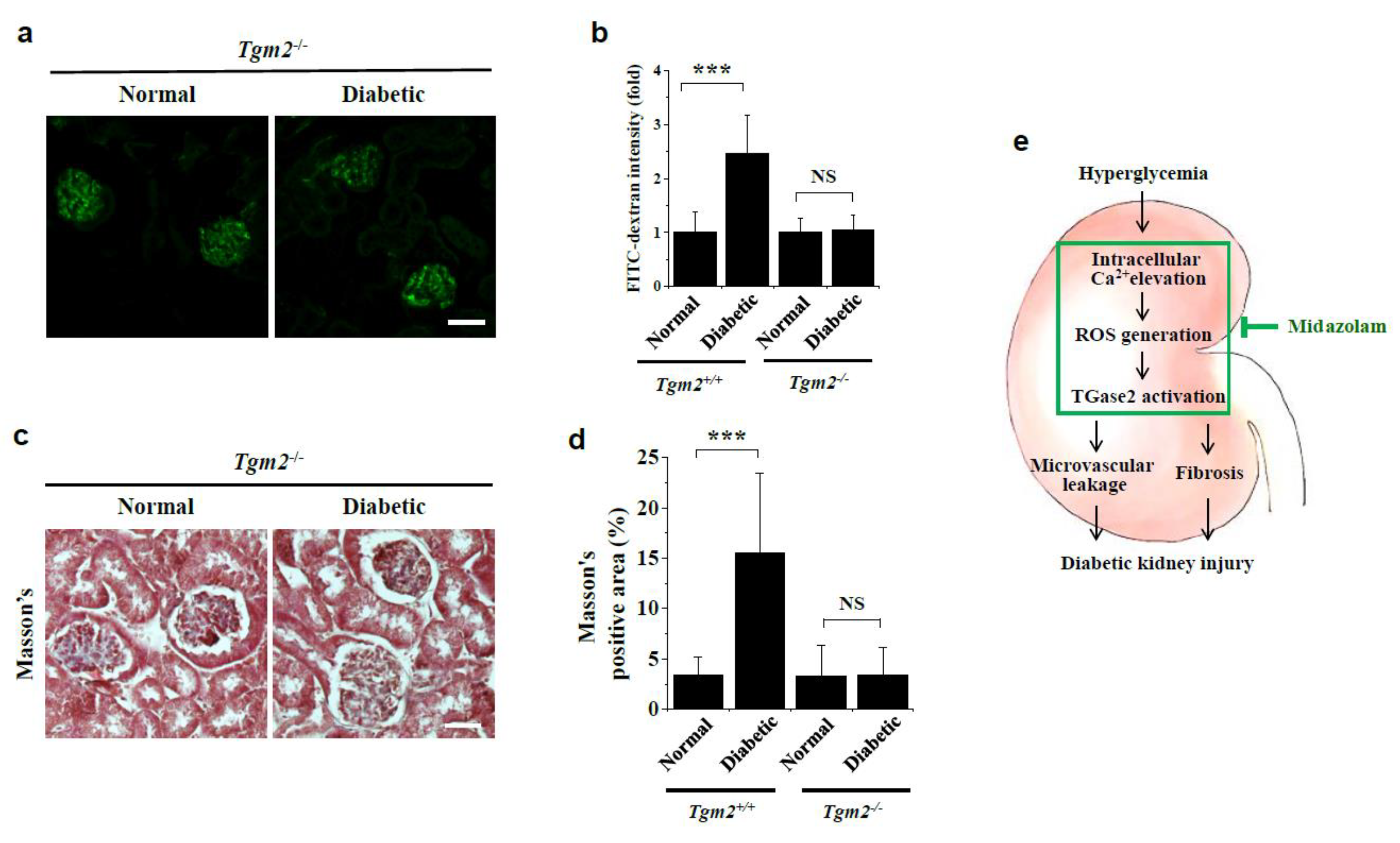 Ijms 23 00753 g008 550