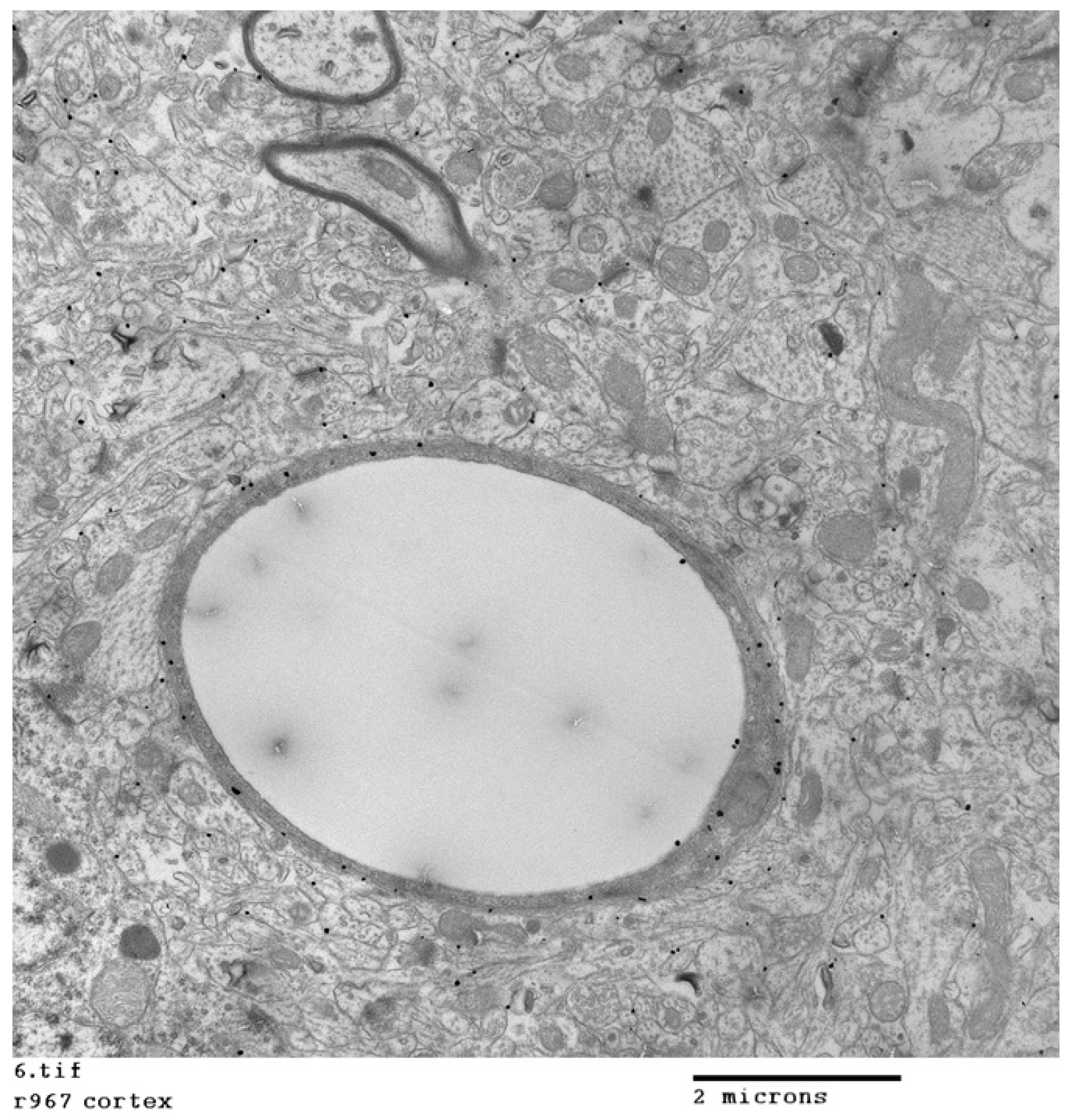 Ijms 23 00760 g001 550