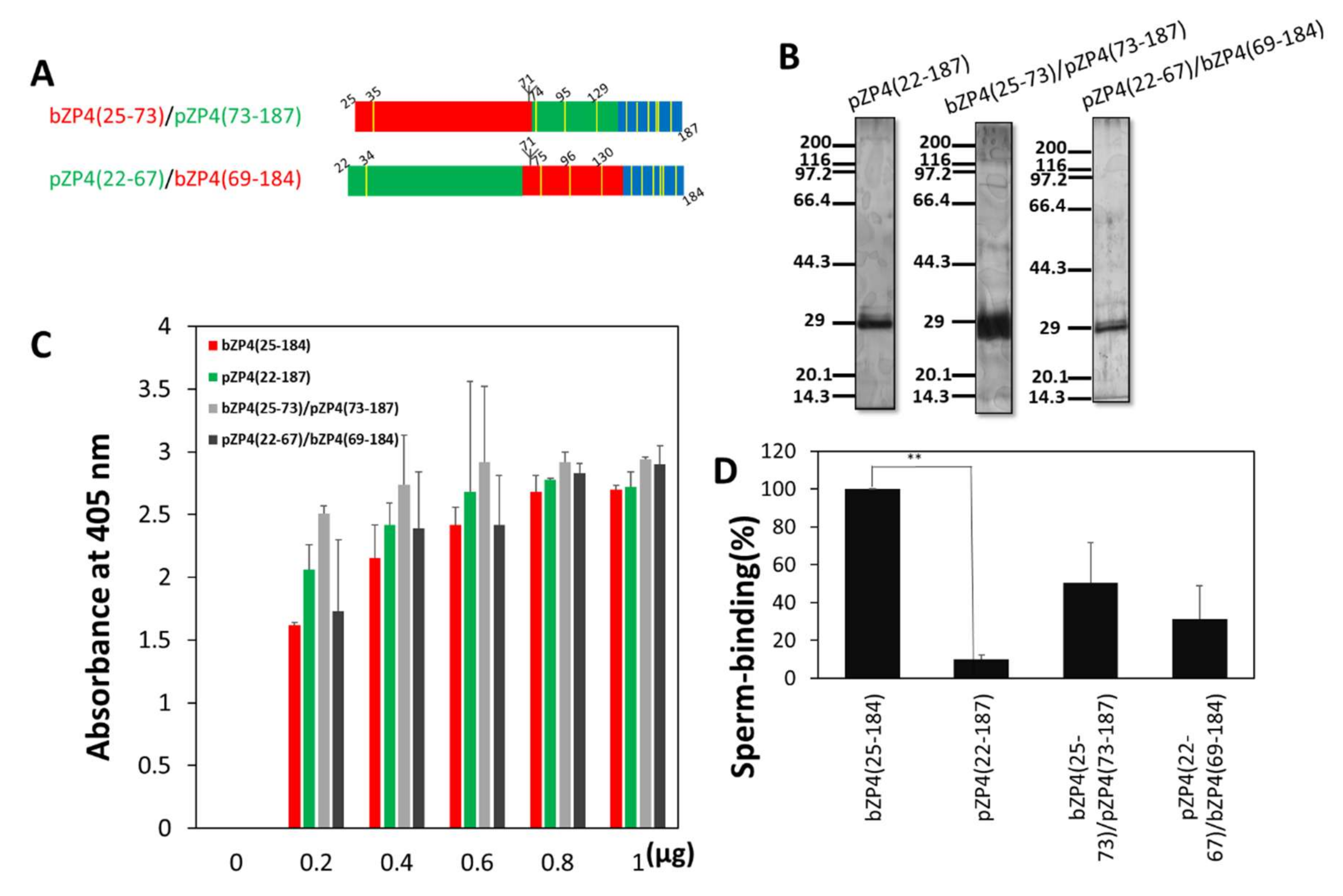 Ijms 23 00762 g002 Ijms 23 00762 g002