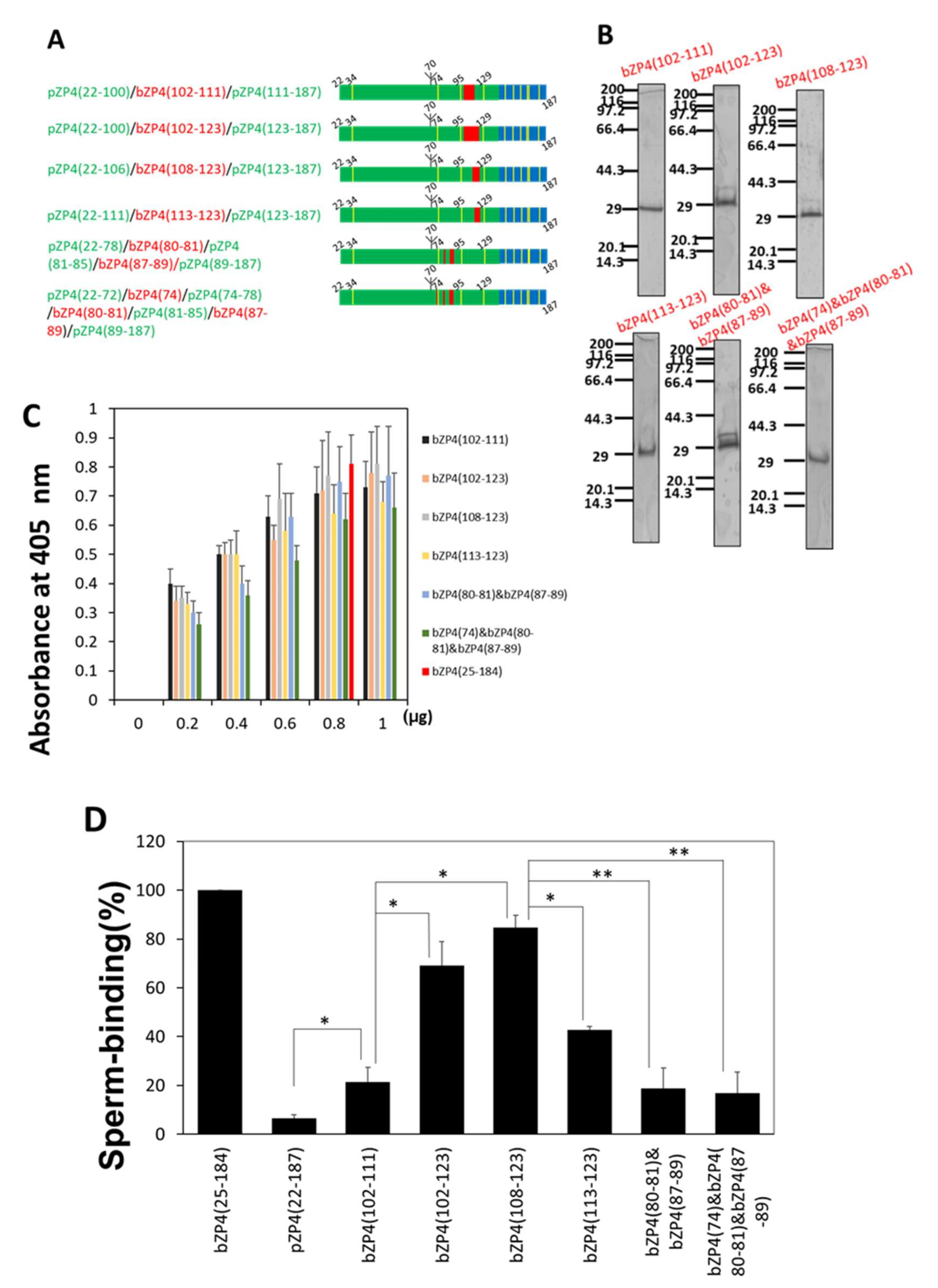 Ijms 23 00762 g004 Ijms 23 00762 g004