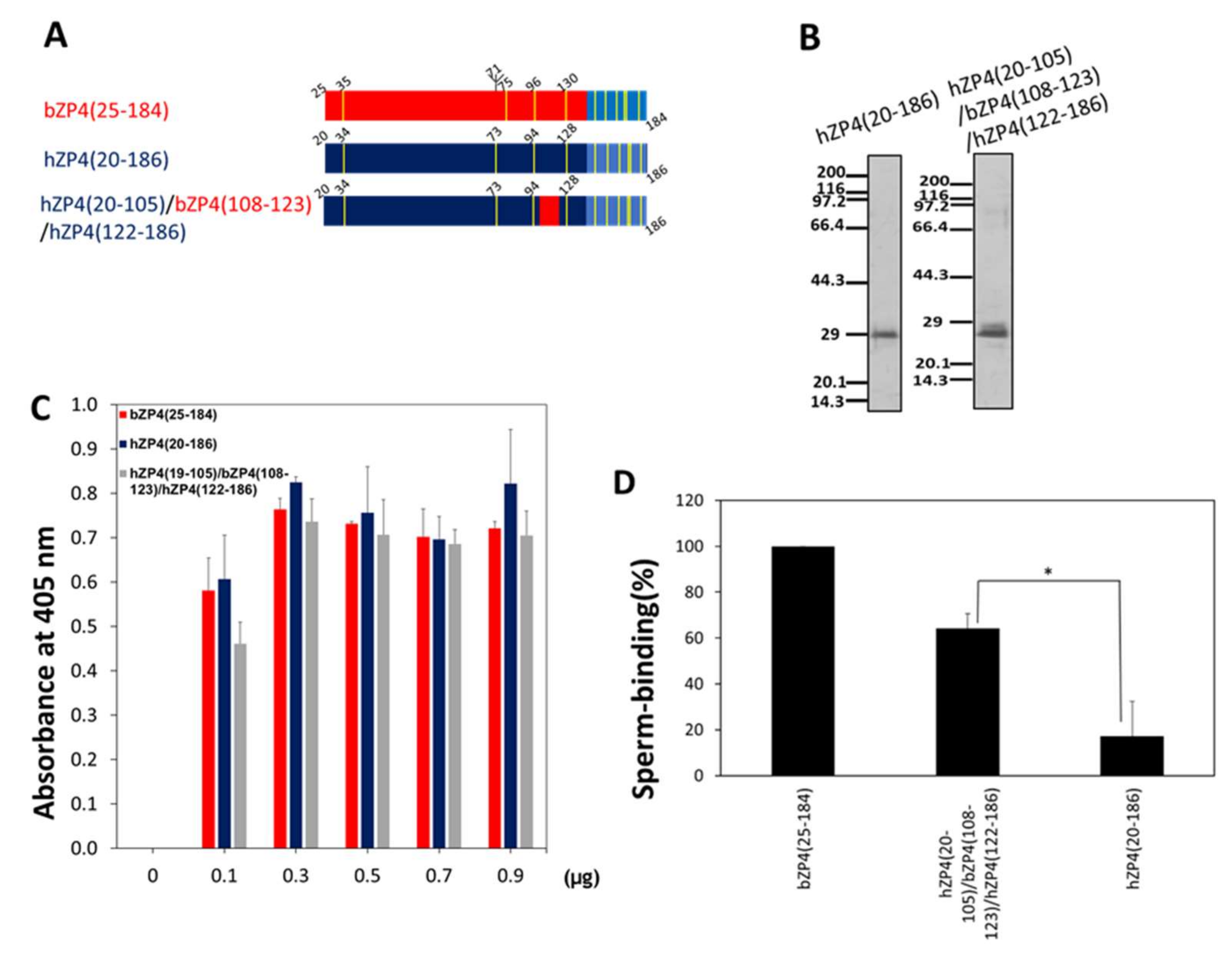 Ijms 23 00762 g005 Ijms 23 00762 g005