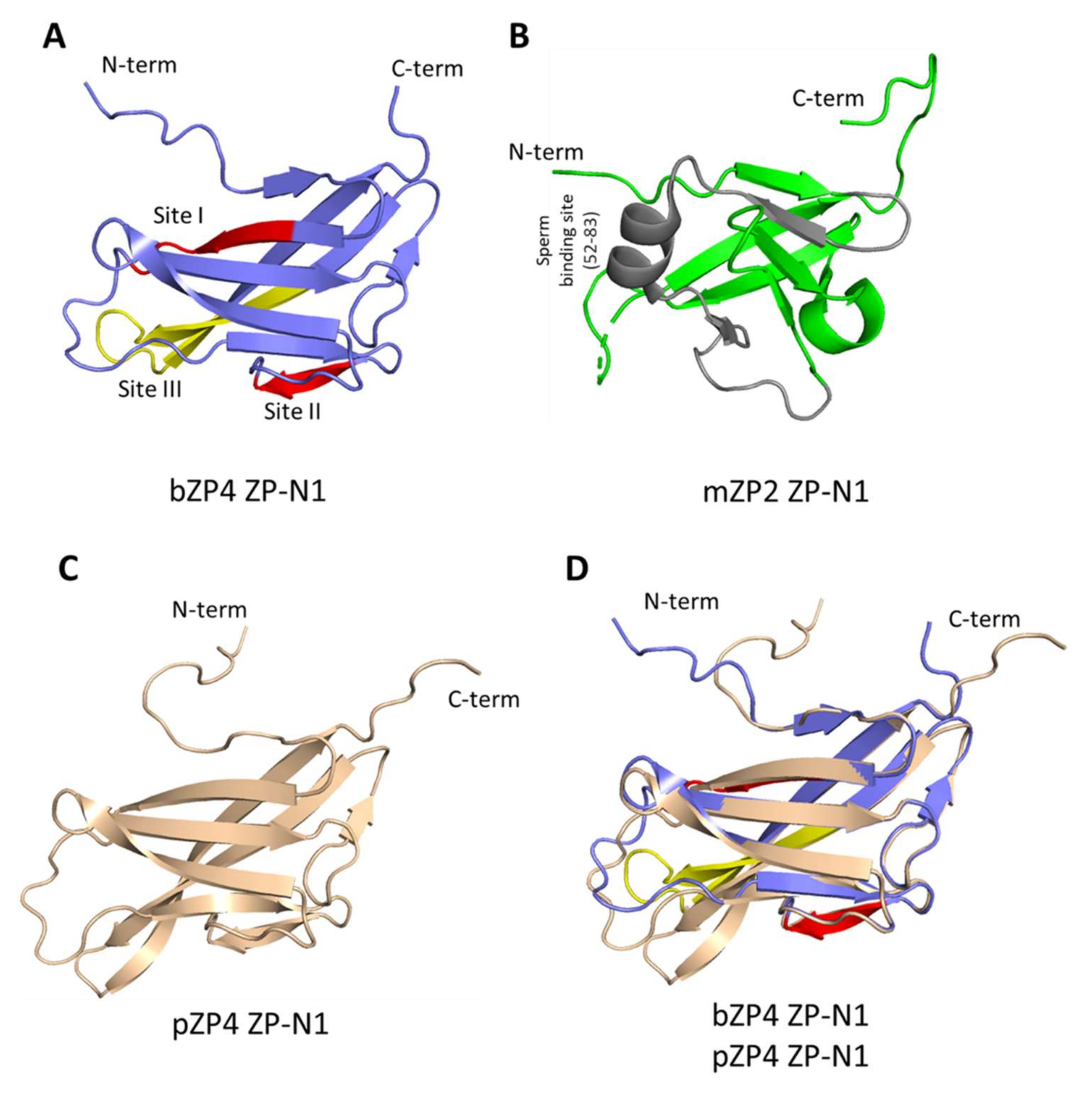 Ijms 23 00762 g006 Ijms 23 00762 g006