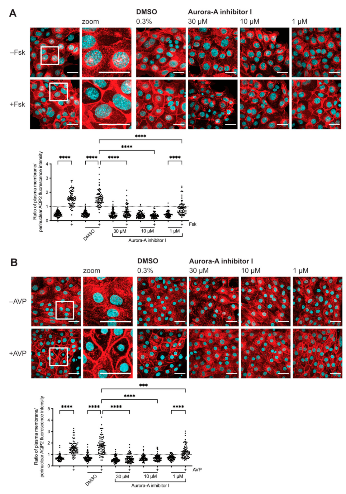 Ijms 23 00763 g001 Ijms 23 00763 g001