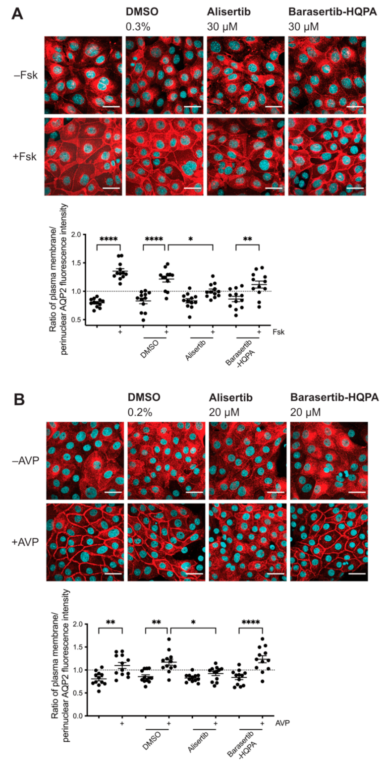 Ijms 23 00763 g002 Ijms 23 00763 g002