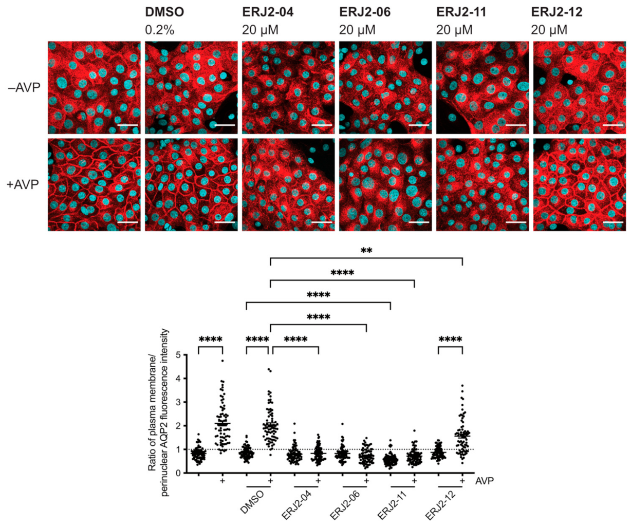Ijms 23 00763 g004 Ijms 23 00763 g004