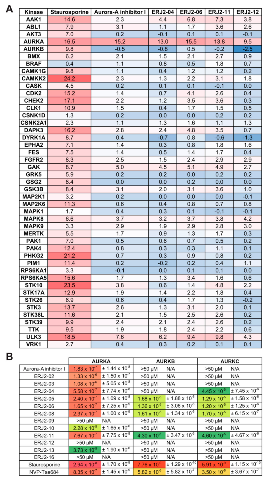 Ijms 23 00763 g006 Ijms 23 00763 g006