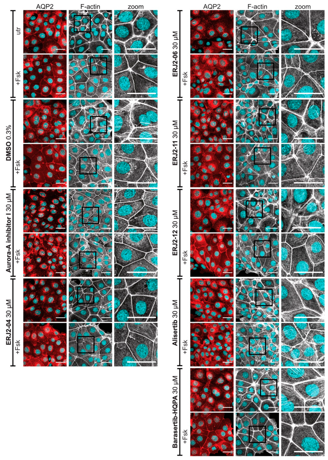 Ijms 23 00763 g008 Ijms 23 00763 g008