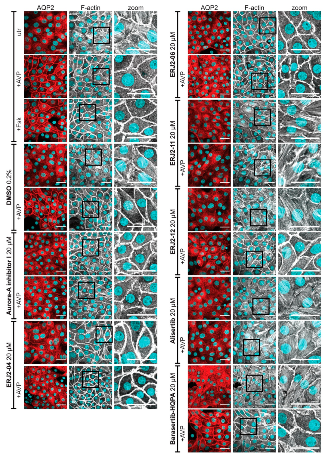 Ijms 23 00763 g009 Ijms 23 00763 g009