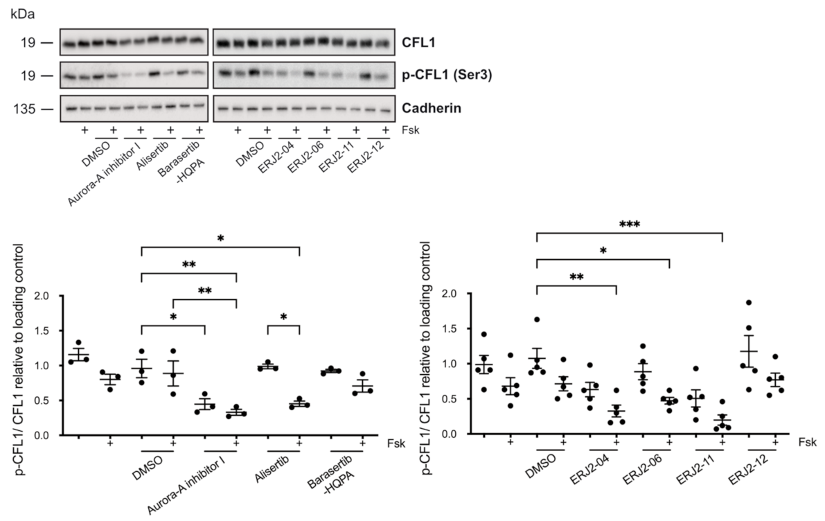 Ijms 23 00763 g010 Ijms 23 00763 g010