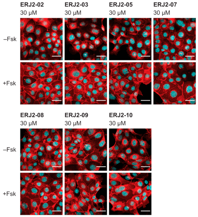 Ijms 23 00763 g0a1 Ijms 23 00763 g0a1