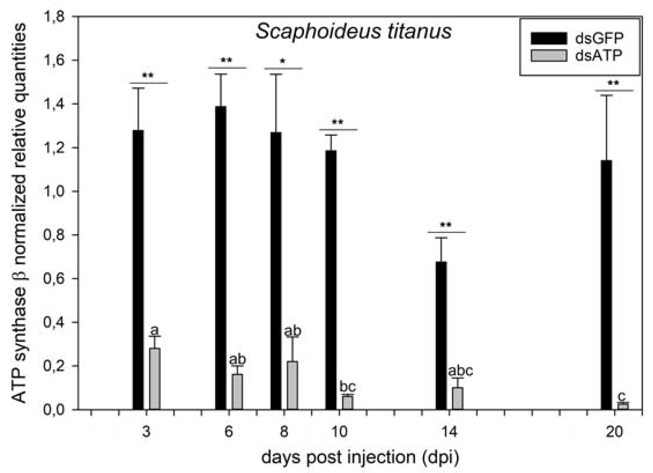 Ijms 23 00765 g001 550