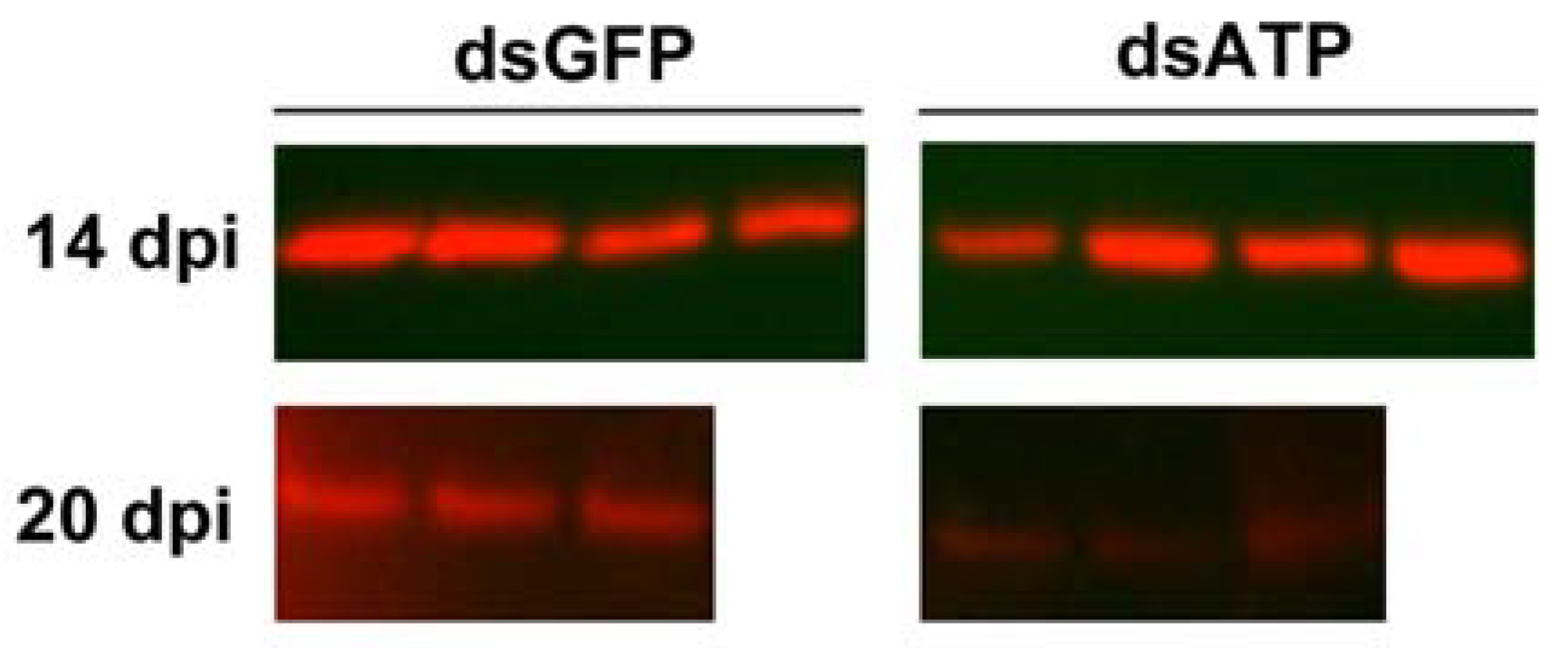 Ijms 23 00765 g002 550