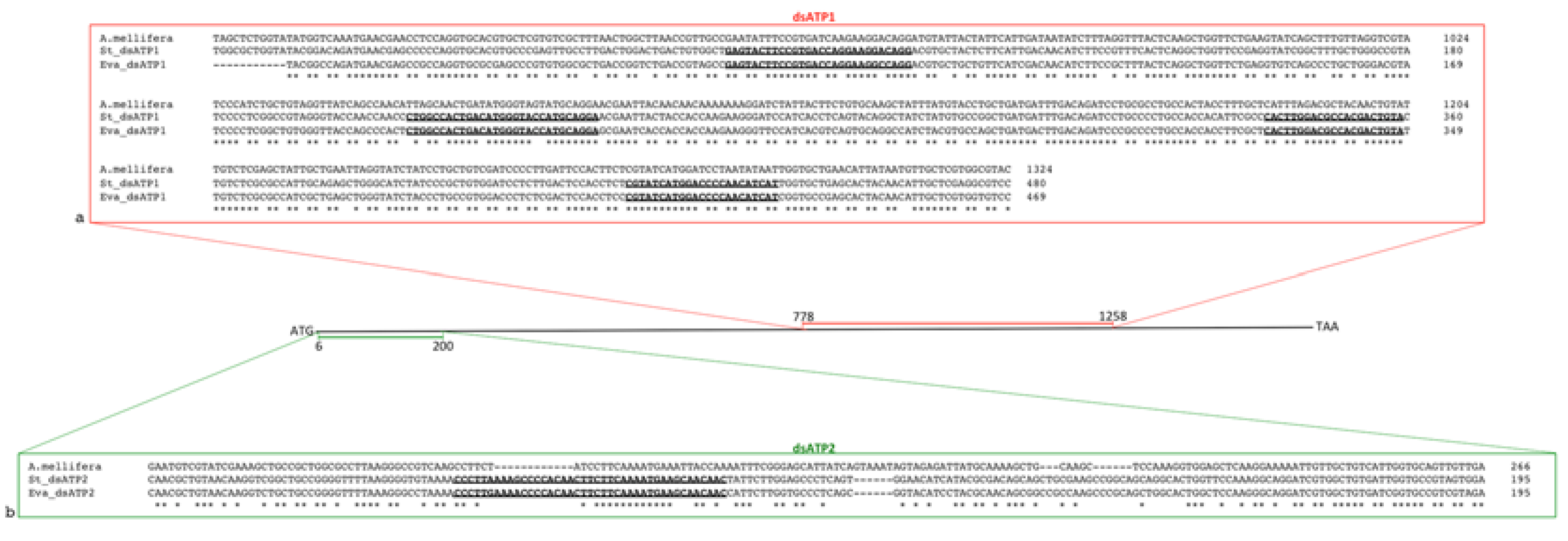 Ijms 23 00765 g005 550