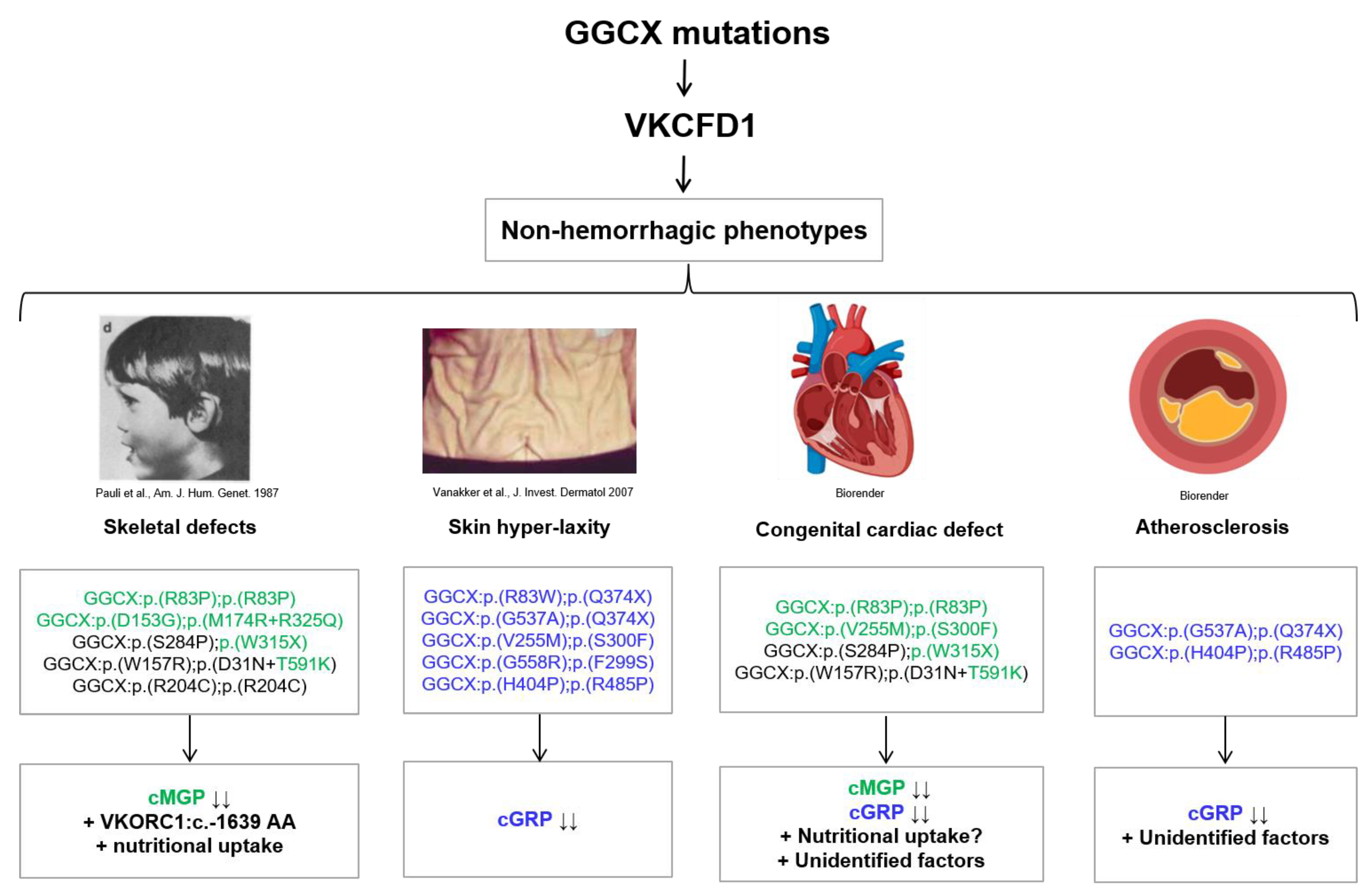 Ijms 23 00798 g001 550