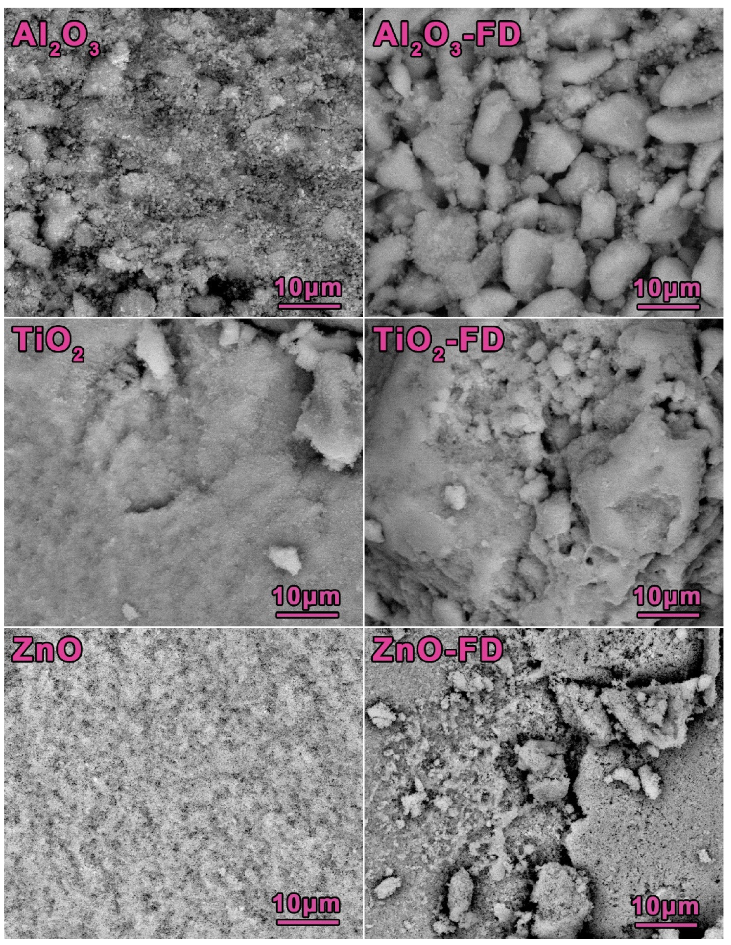 Ijms 23 00805 g002 550