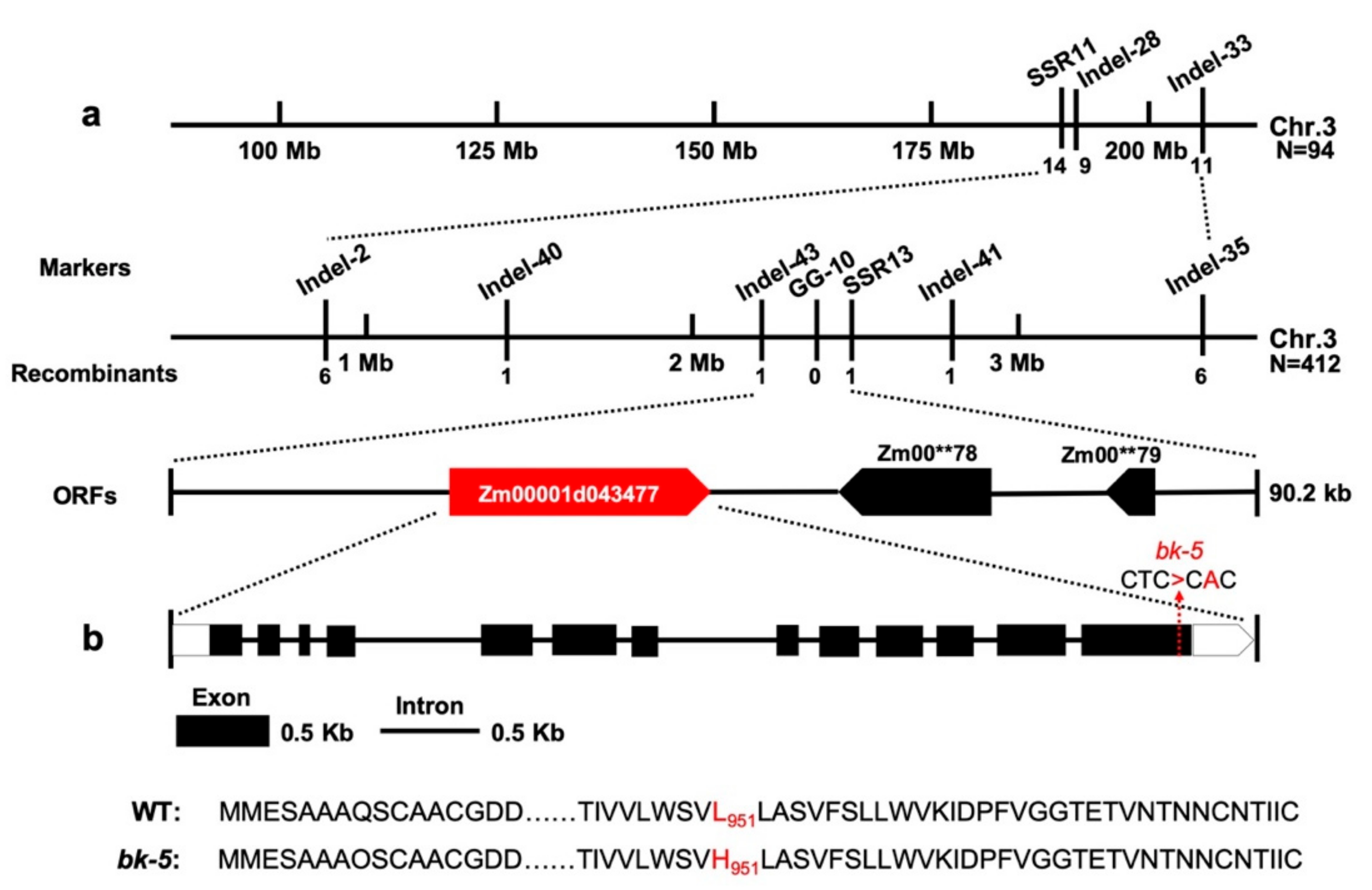Ijms 23 00814 g004 Ijms 23 00814 g004