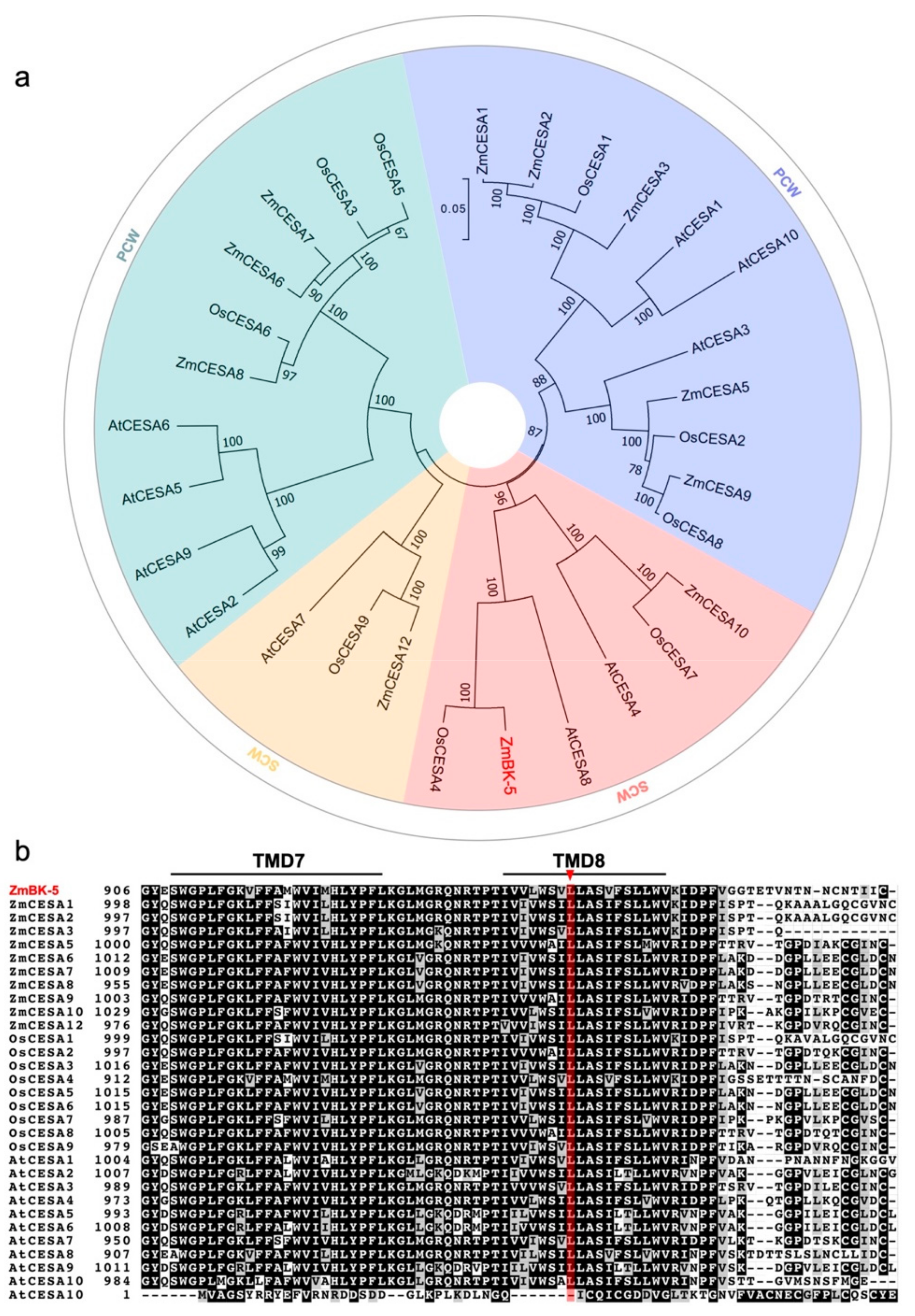 Ijms 23 00814 g005 Ijms 23 00814 g005