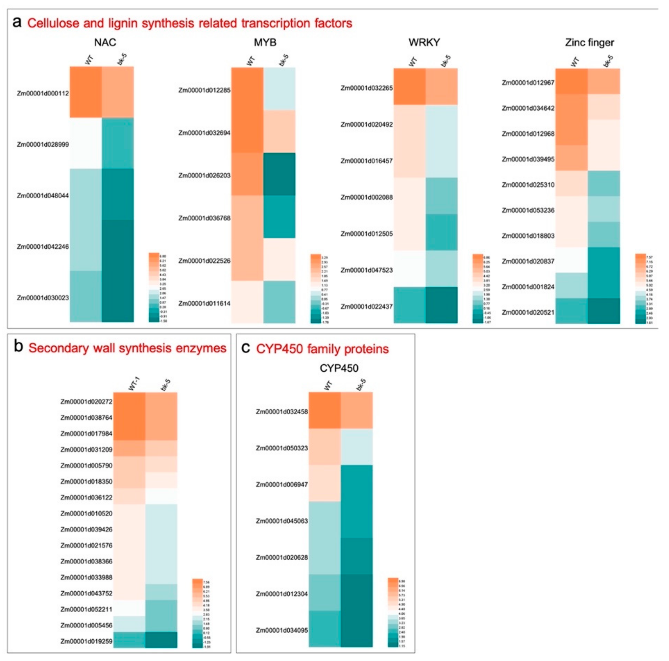 Ijms 23 00814 g007 Ijms 23 00814 g007