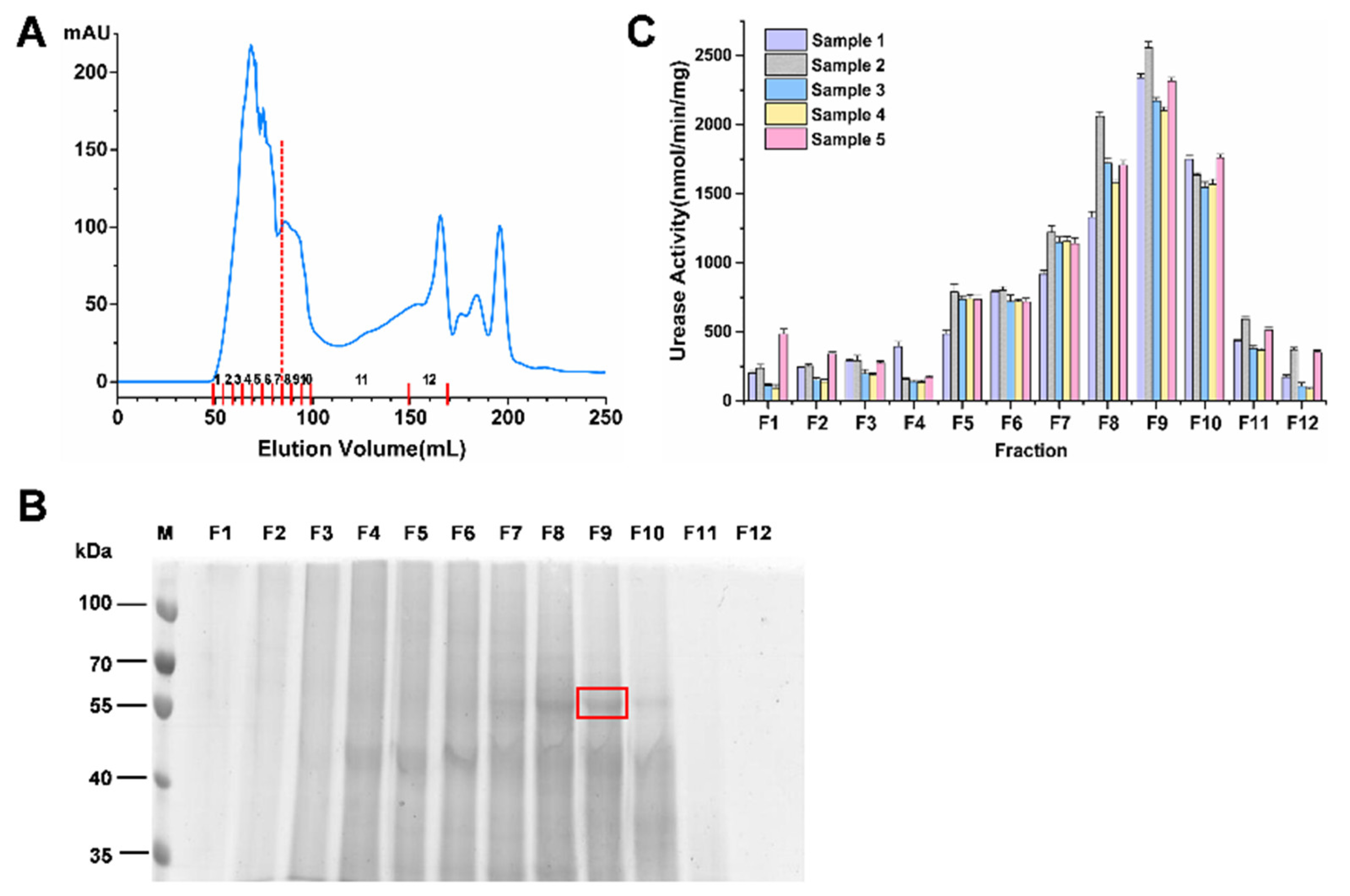 Activity- and Enrichment-Based Metaproteomics Insights into