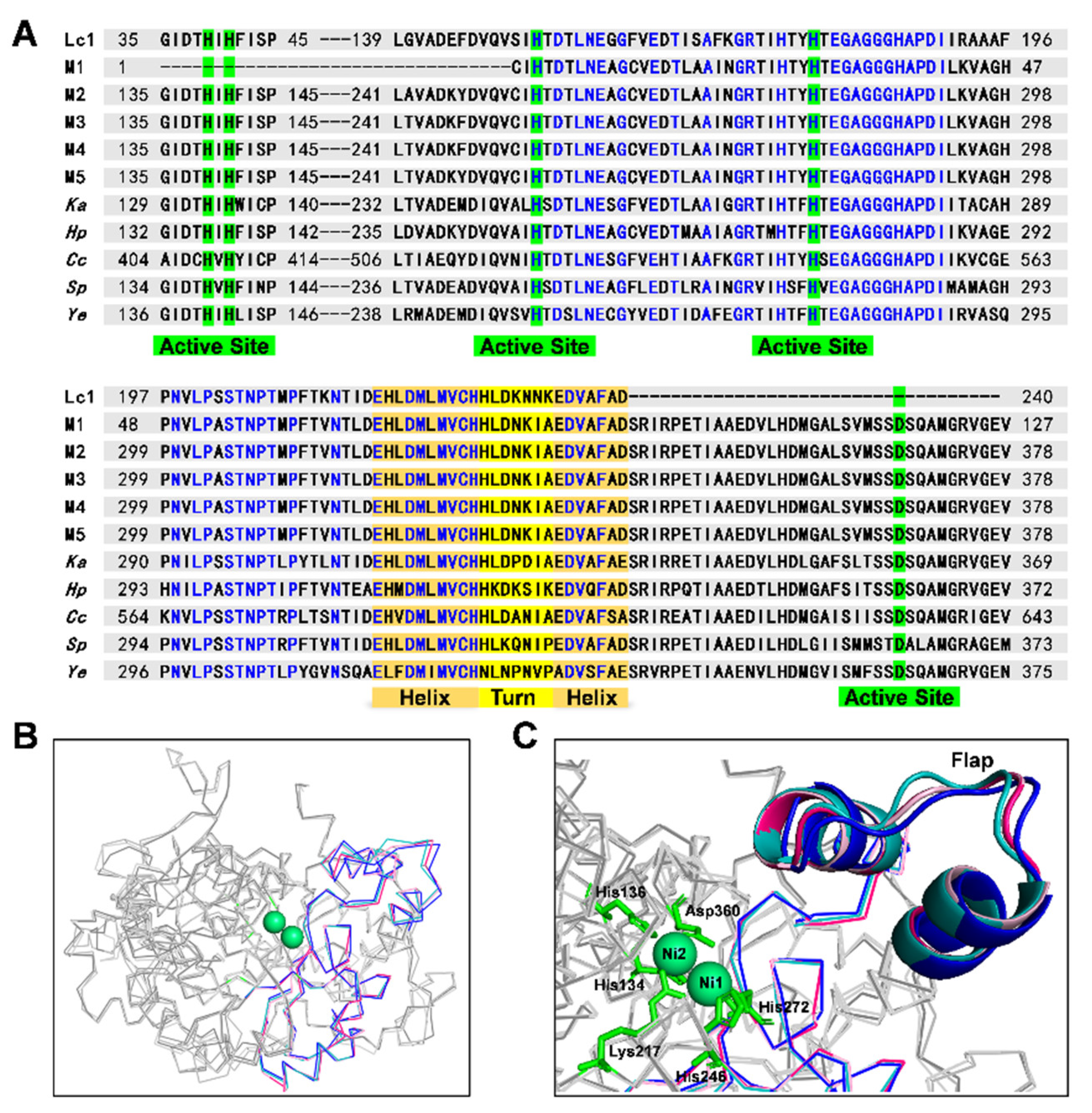 Ijms 23 00817 g004 550