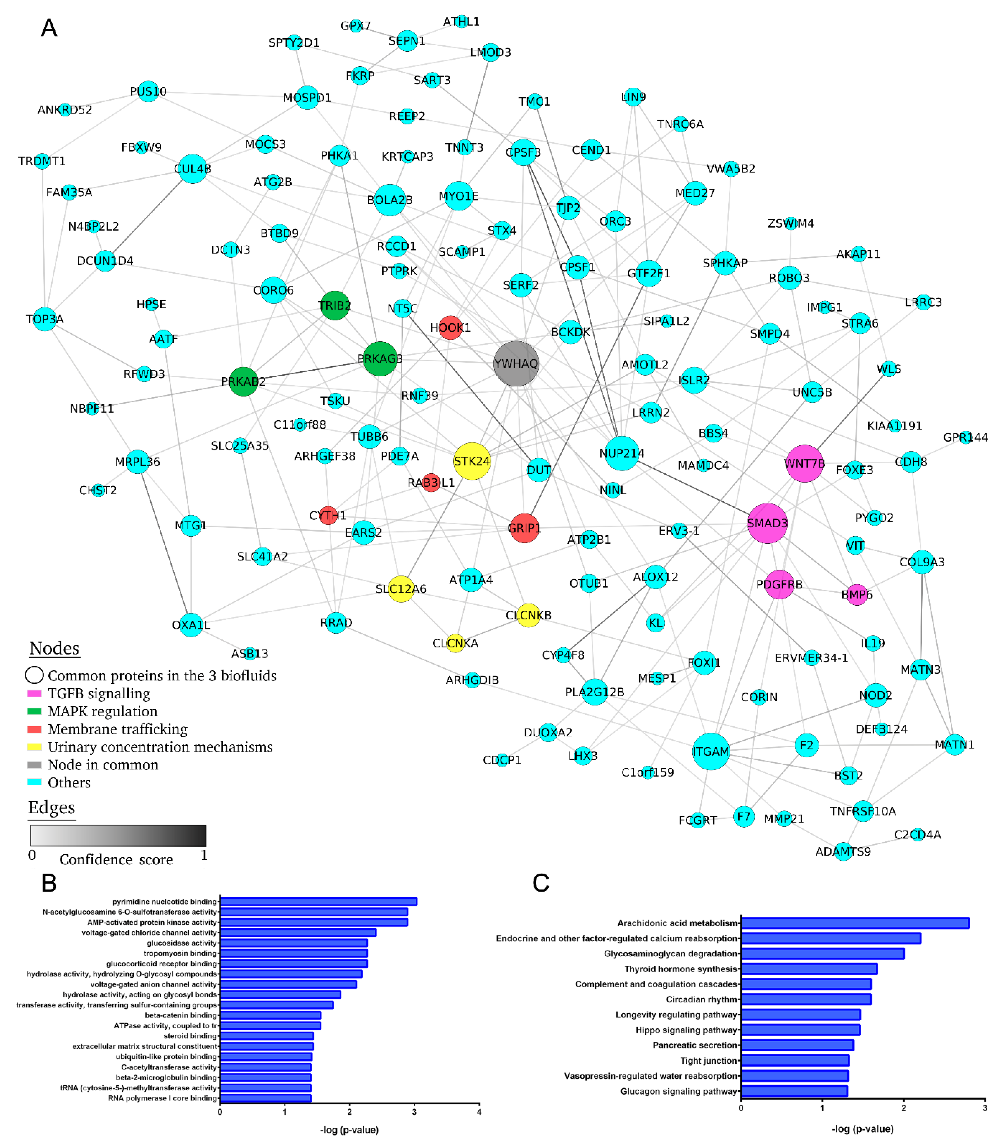 Ijms 23 00823 g005 550