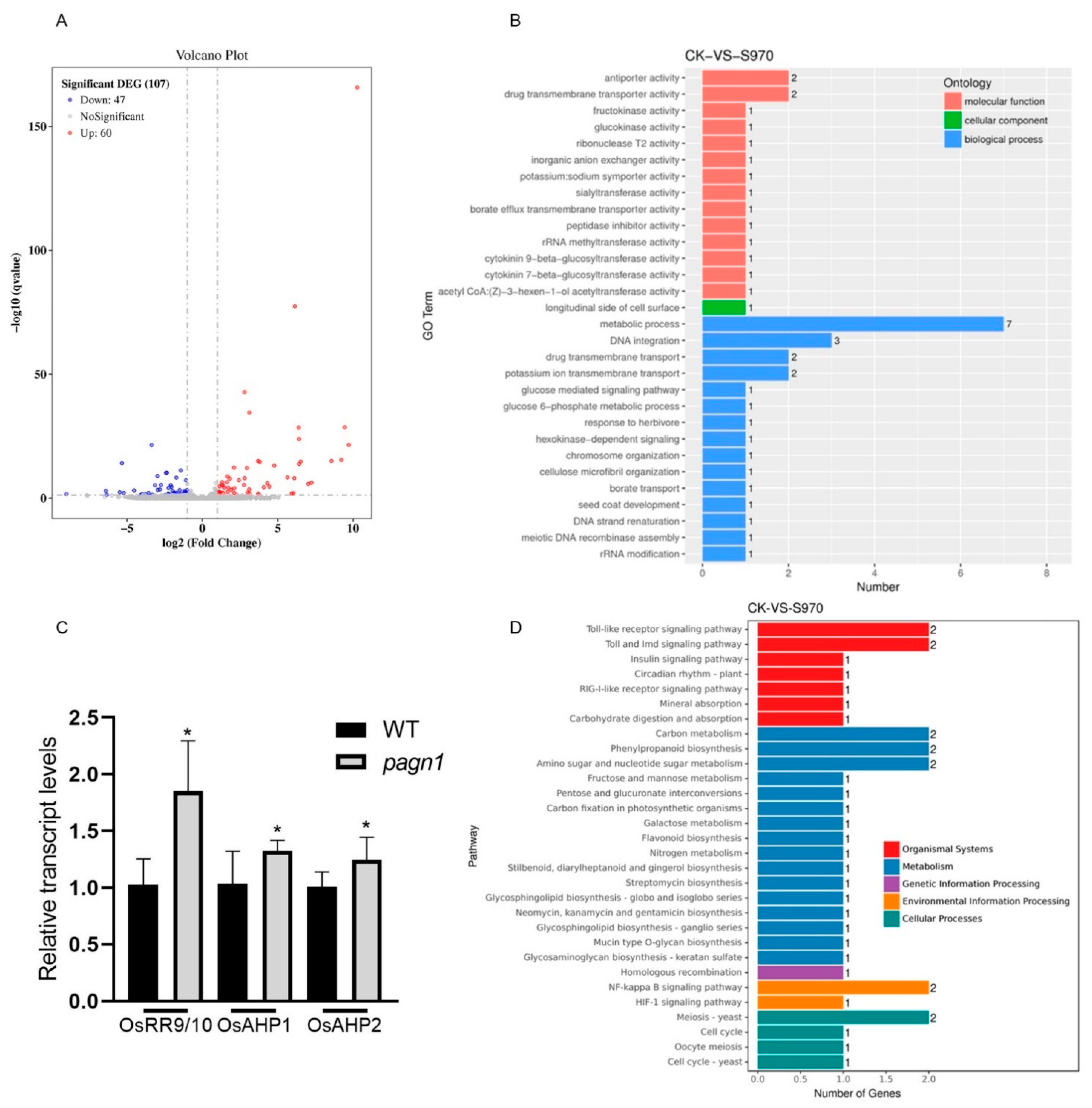 Ijms 23 00824 g004 550
