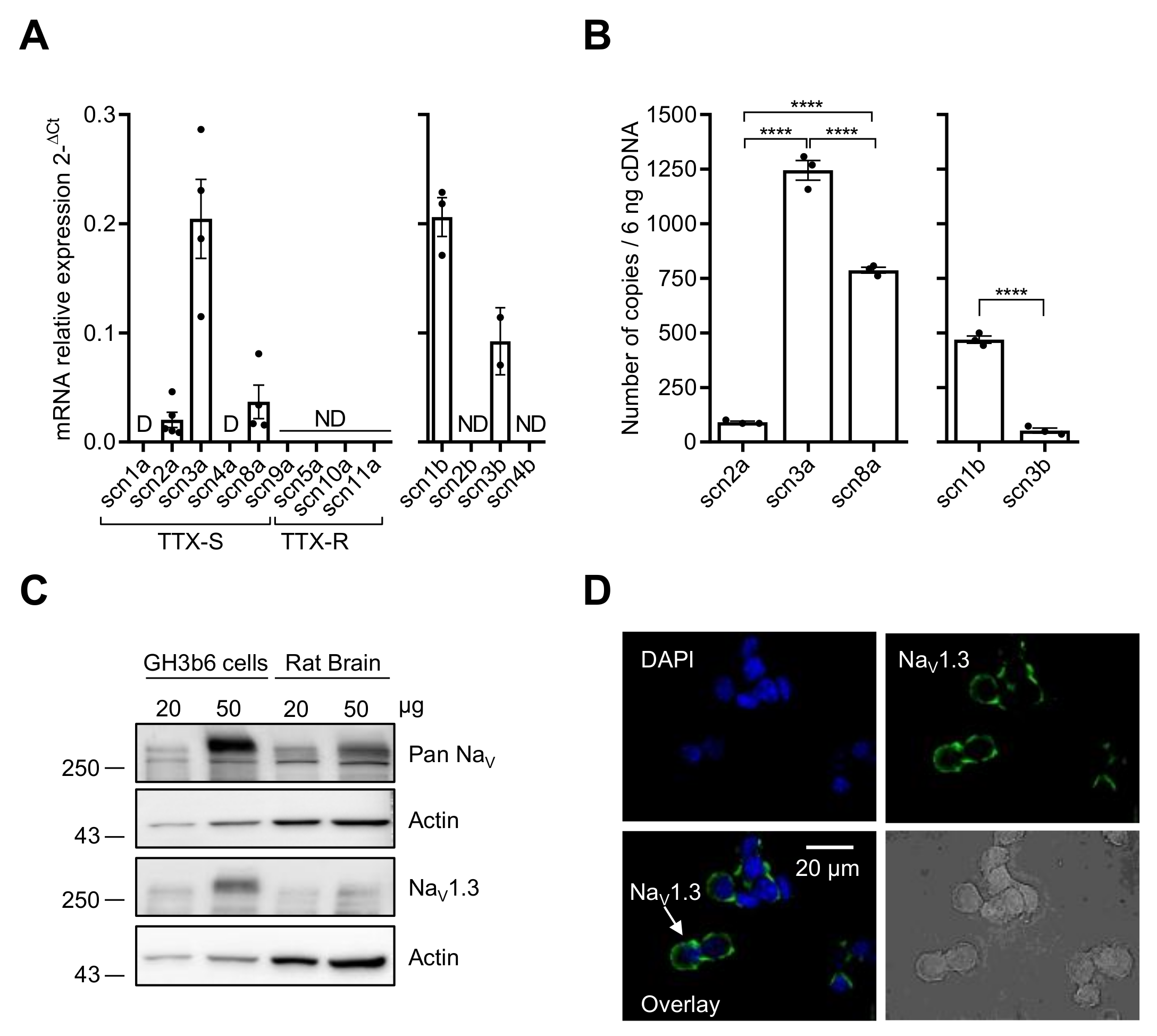 Ijms 23 00827 g001 550