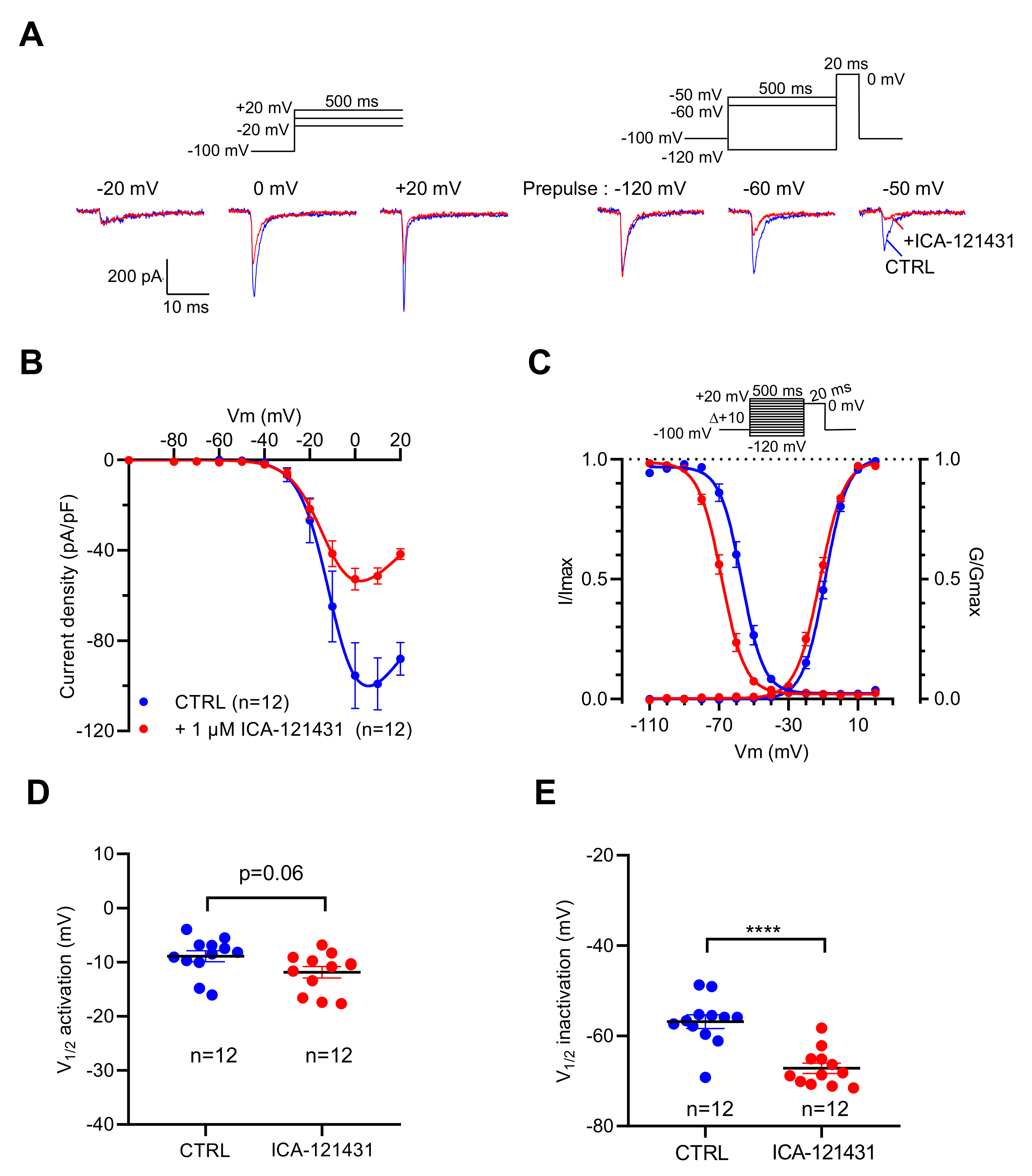 Ijms 23 00827 g003 550