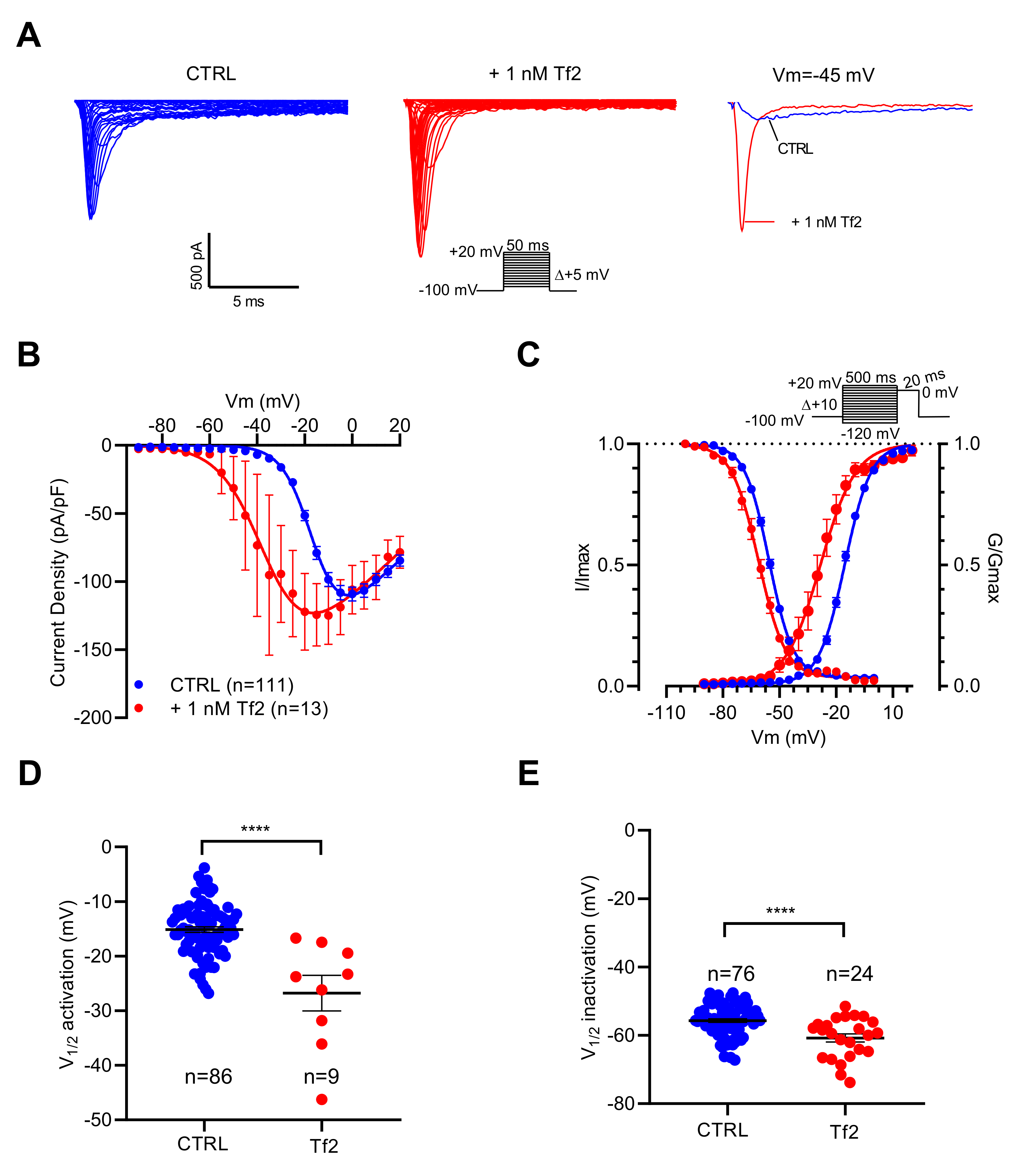 Ijms 23 00827 g004 550