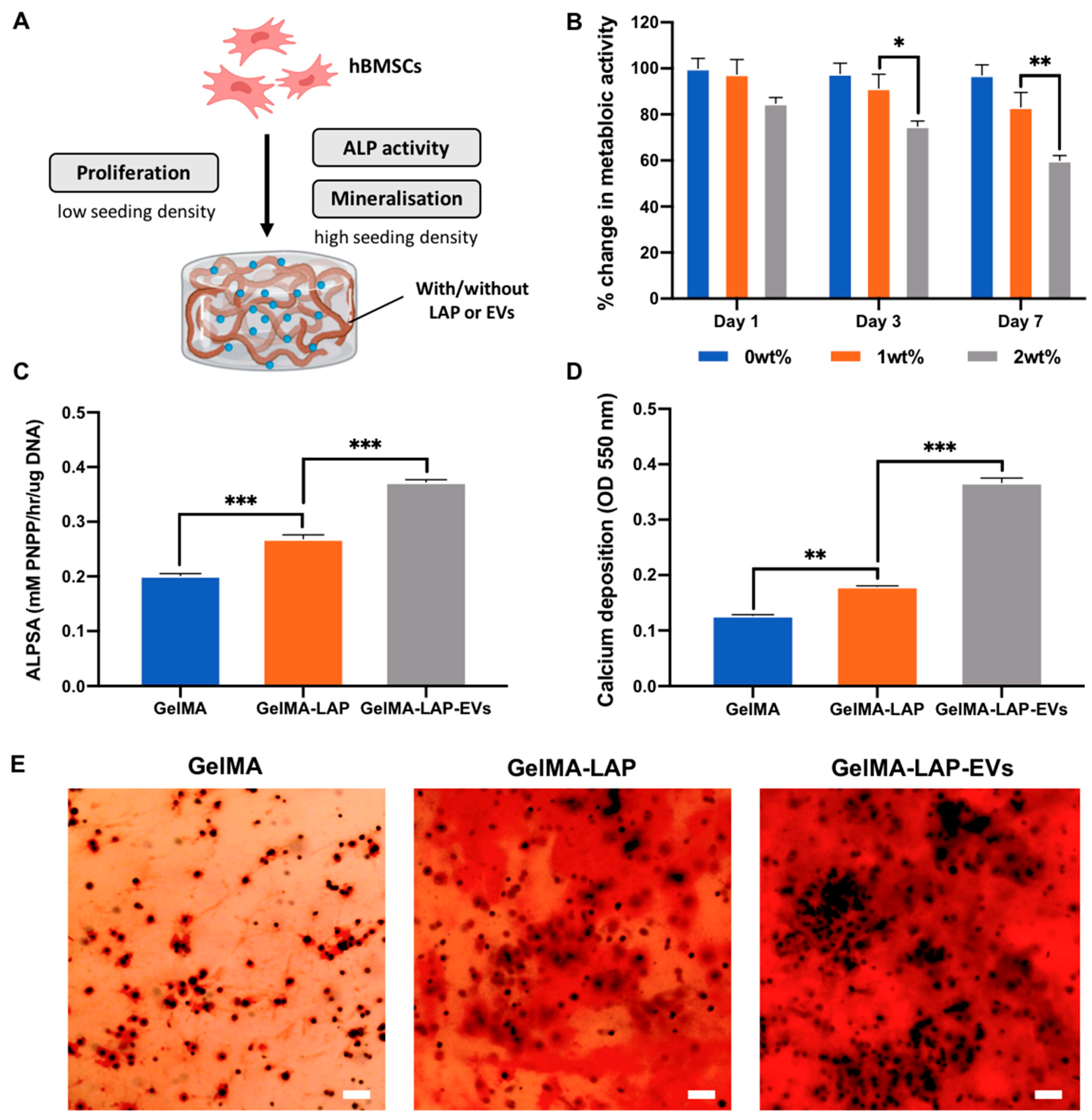 Ijms 23 00832 g003 550