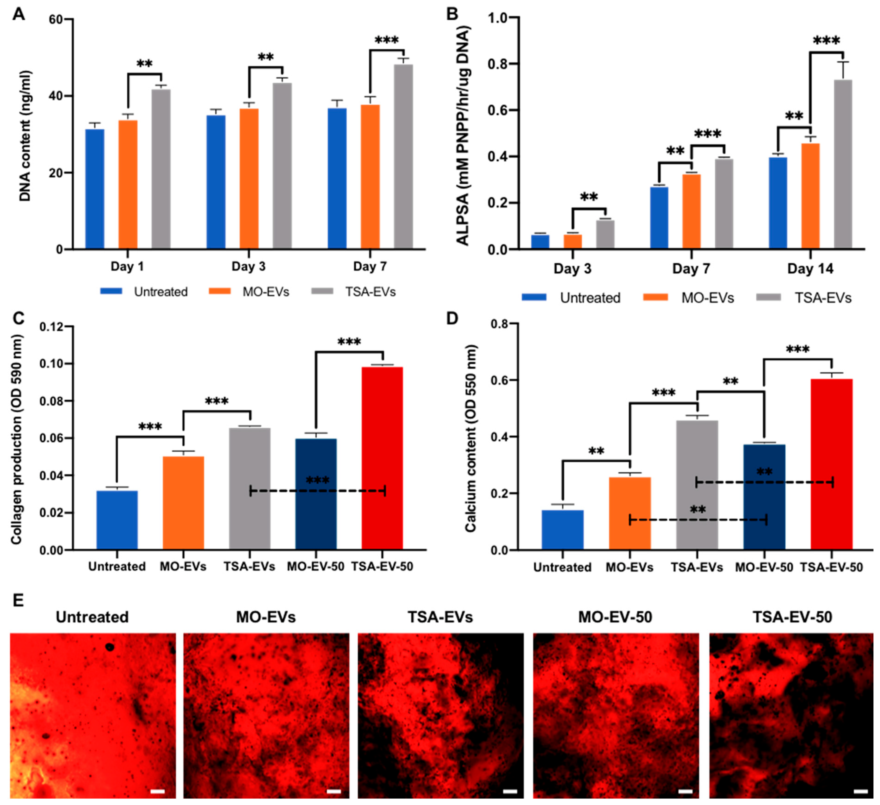 Ijms 23 00832 g006 550