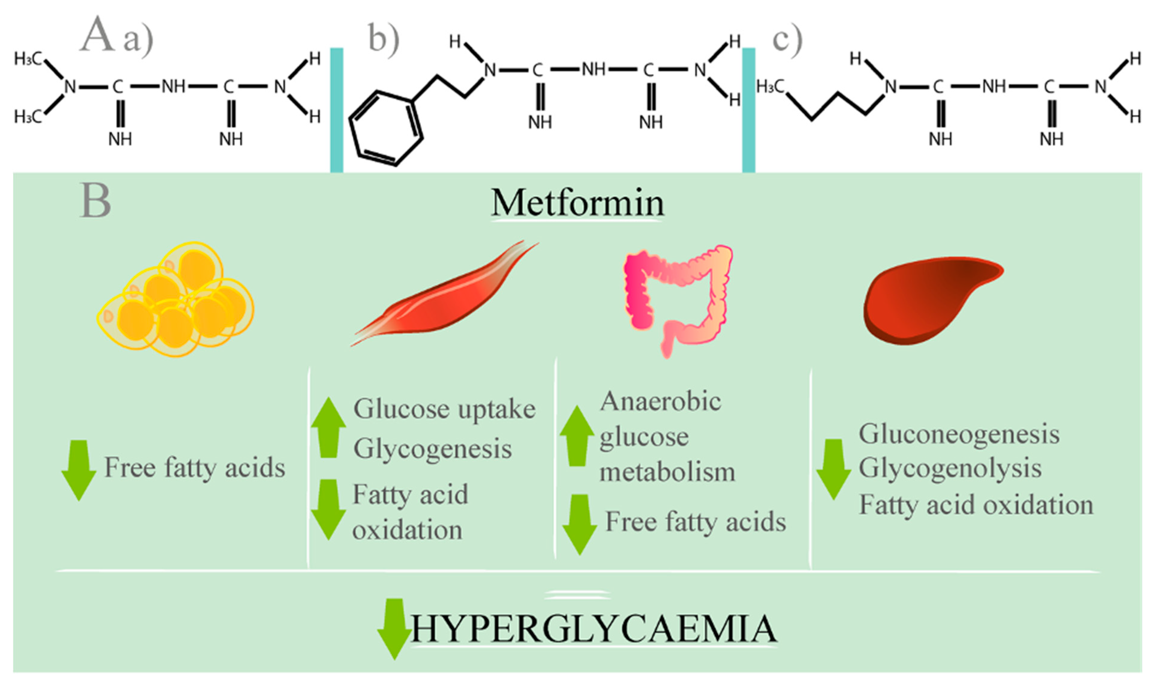 Ijms 23 00836 g002 Ijms 23 00836 g002