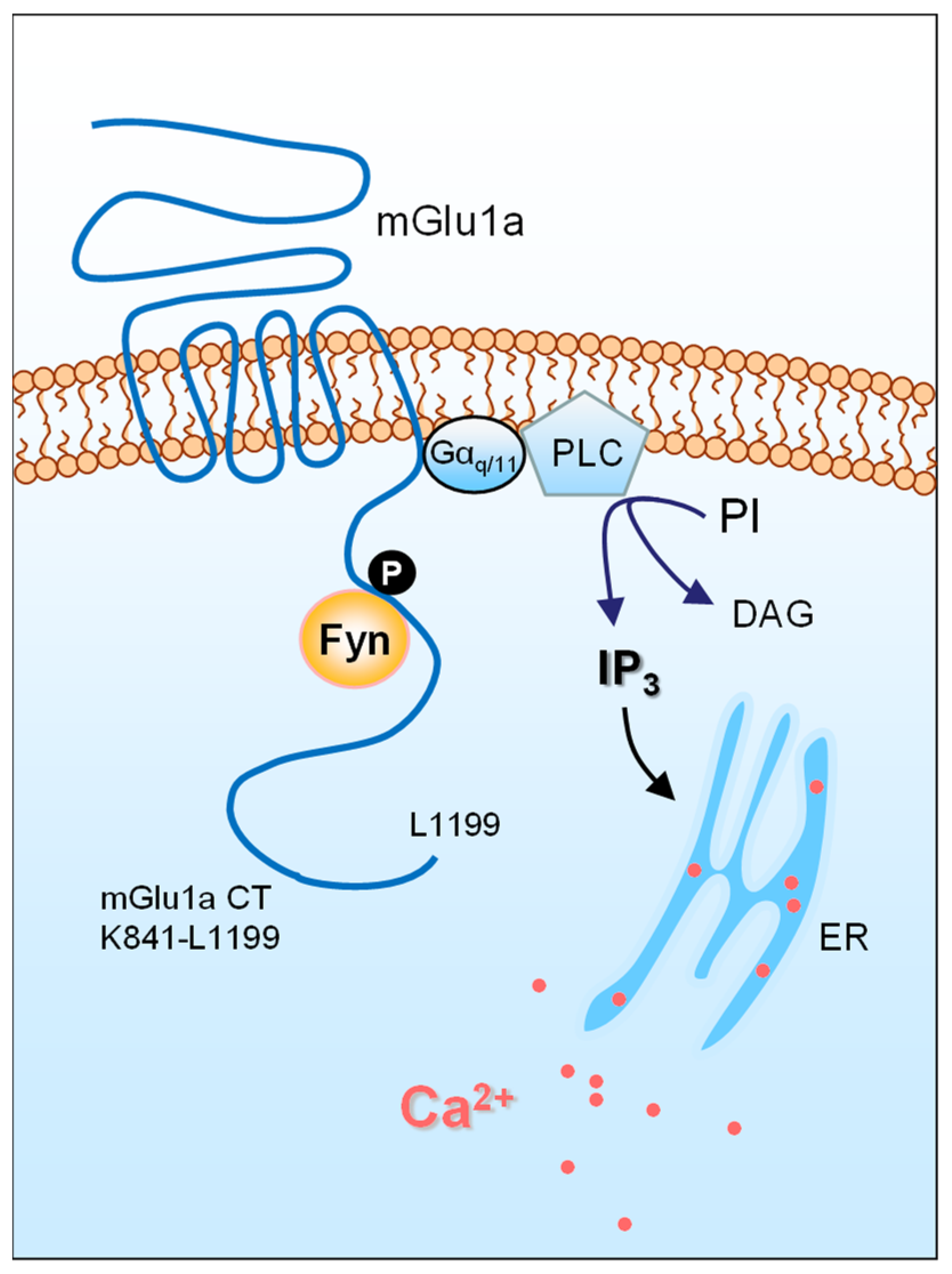 Ijms 23 00840 g001 550