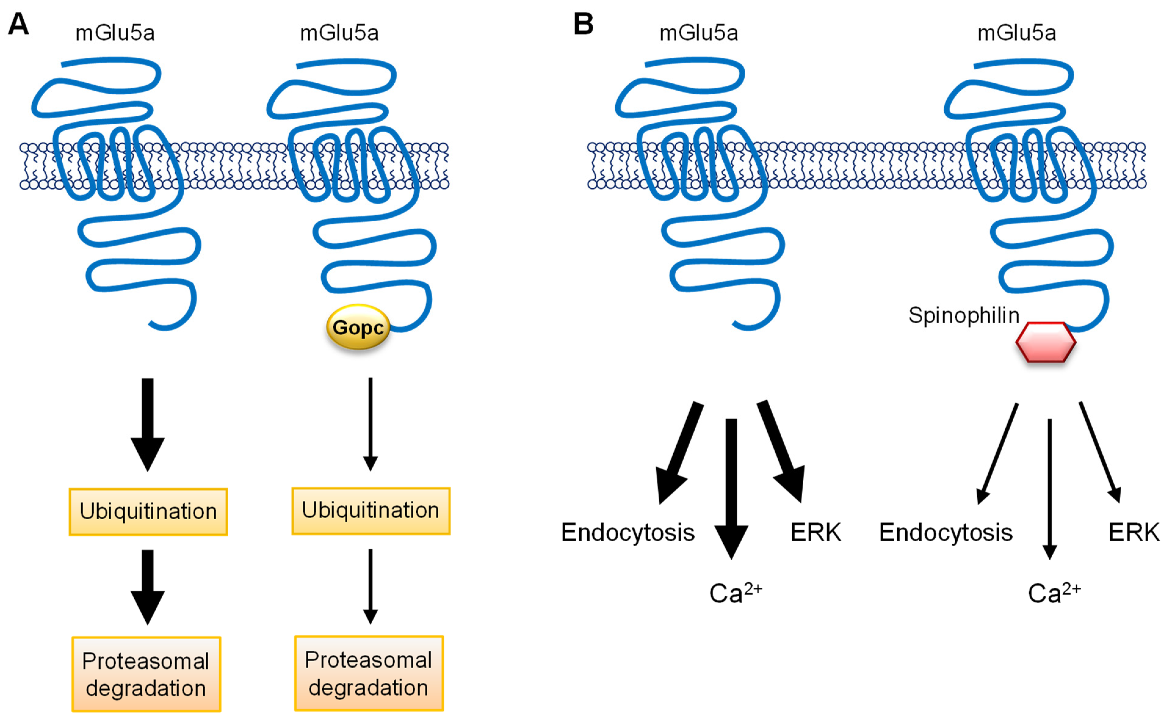 Ijms 23 00840 g002 550